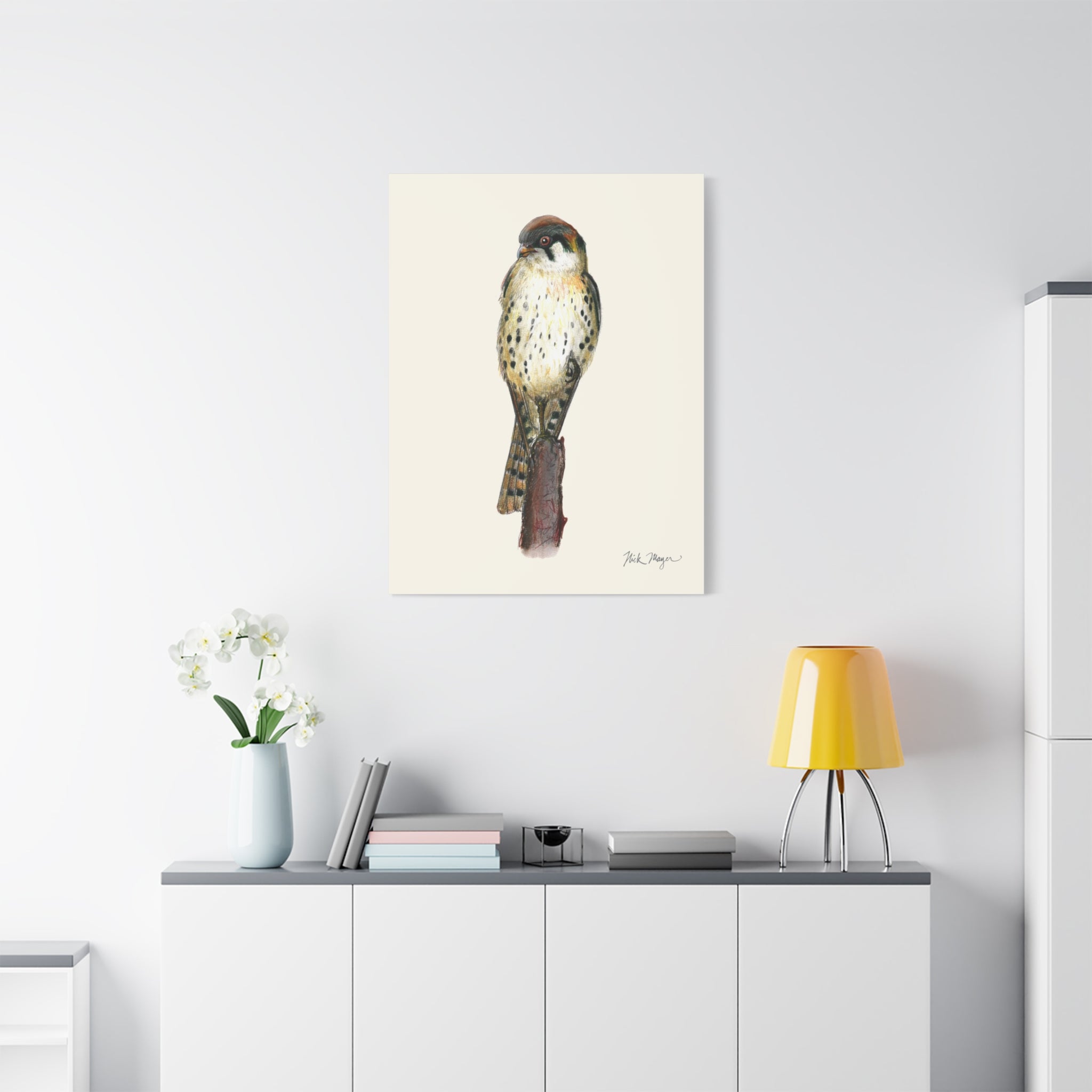 American Kestrel Canvas Print