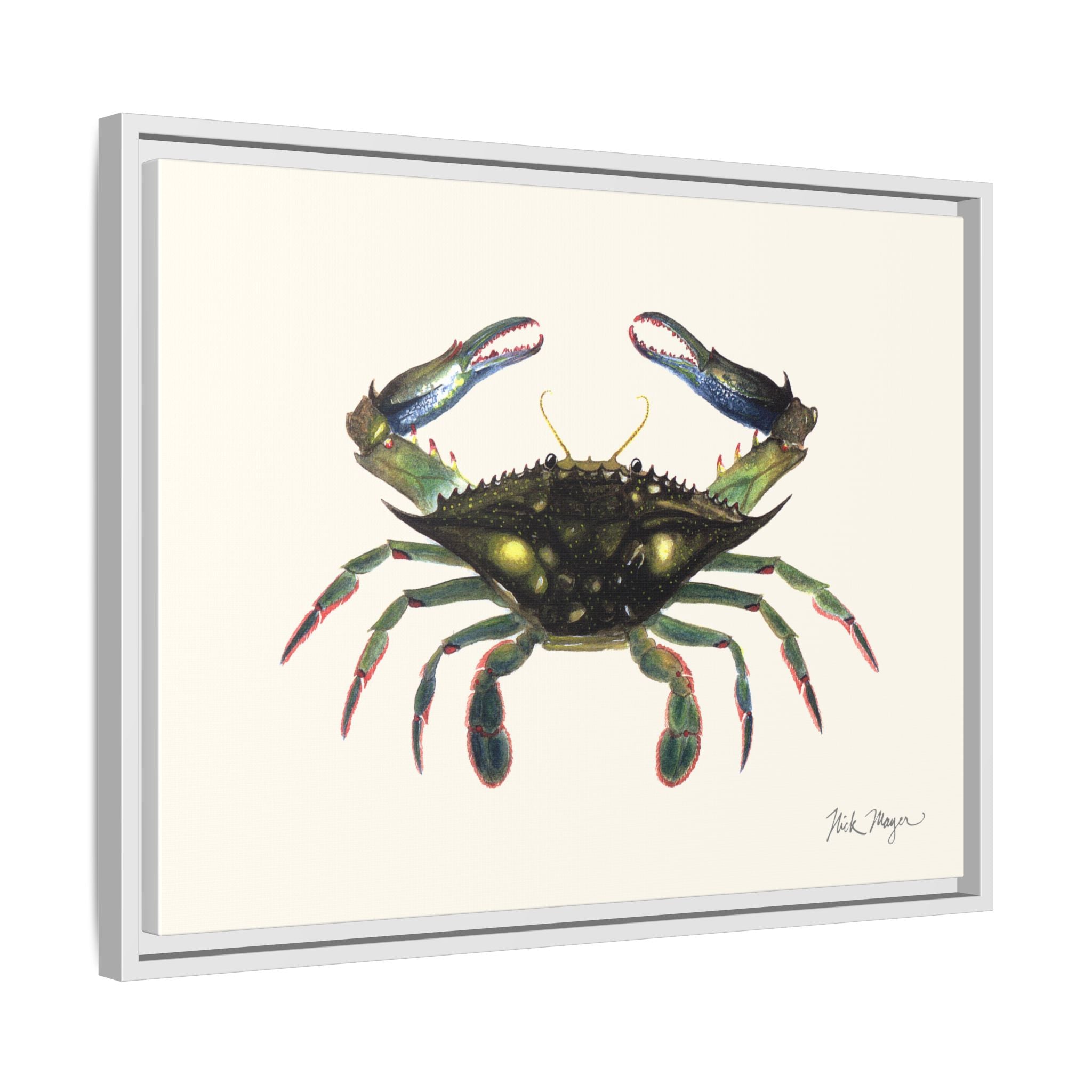 Blue Crab, Claws in Framed Canvas Print Printify