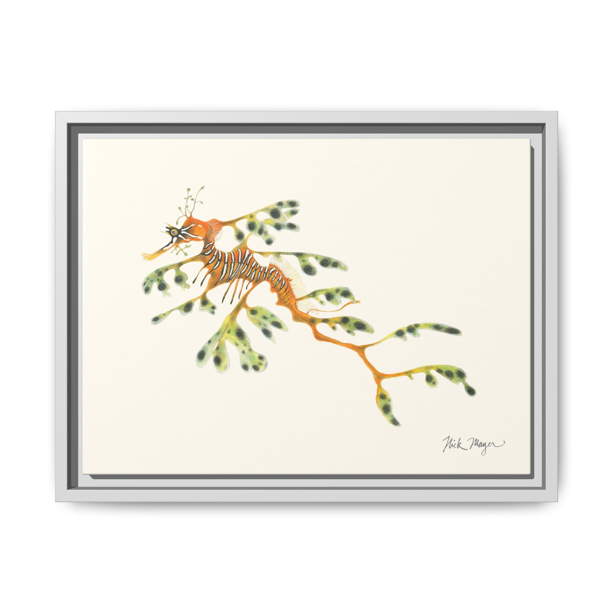Leafy Sea Dragon Framed Canvas Print Printify