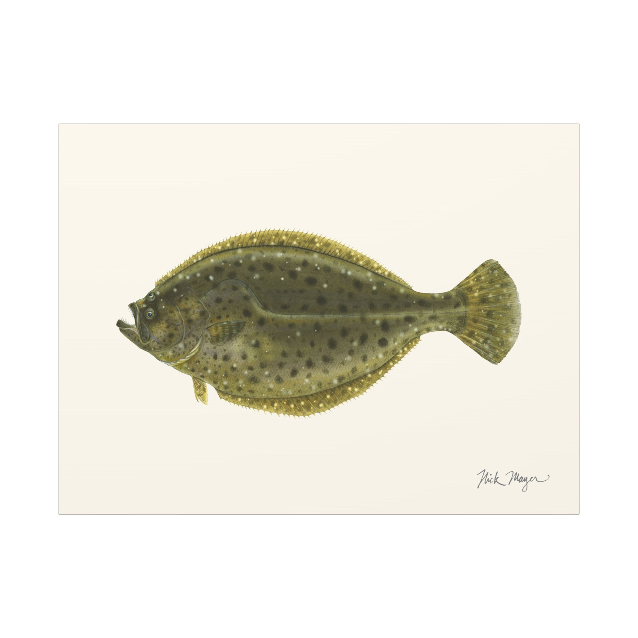 Fluke Canvas Print