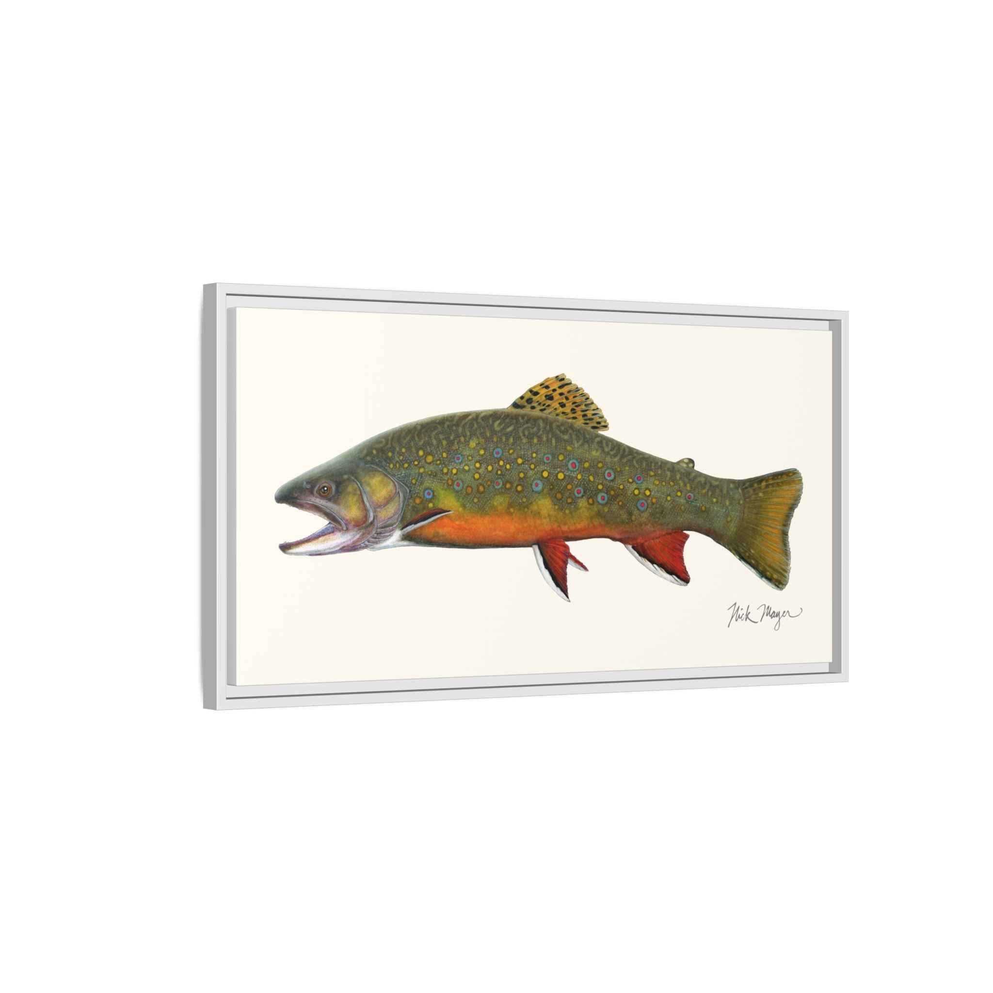 Beaver Pond Brook Trout Framed Canvas Print Printify