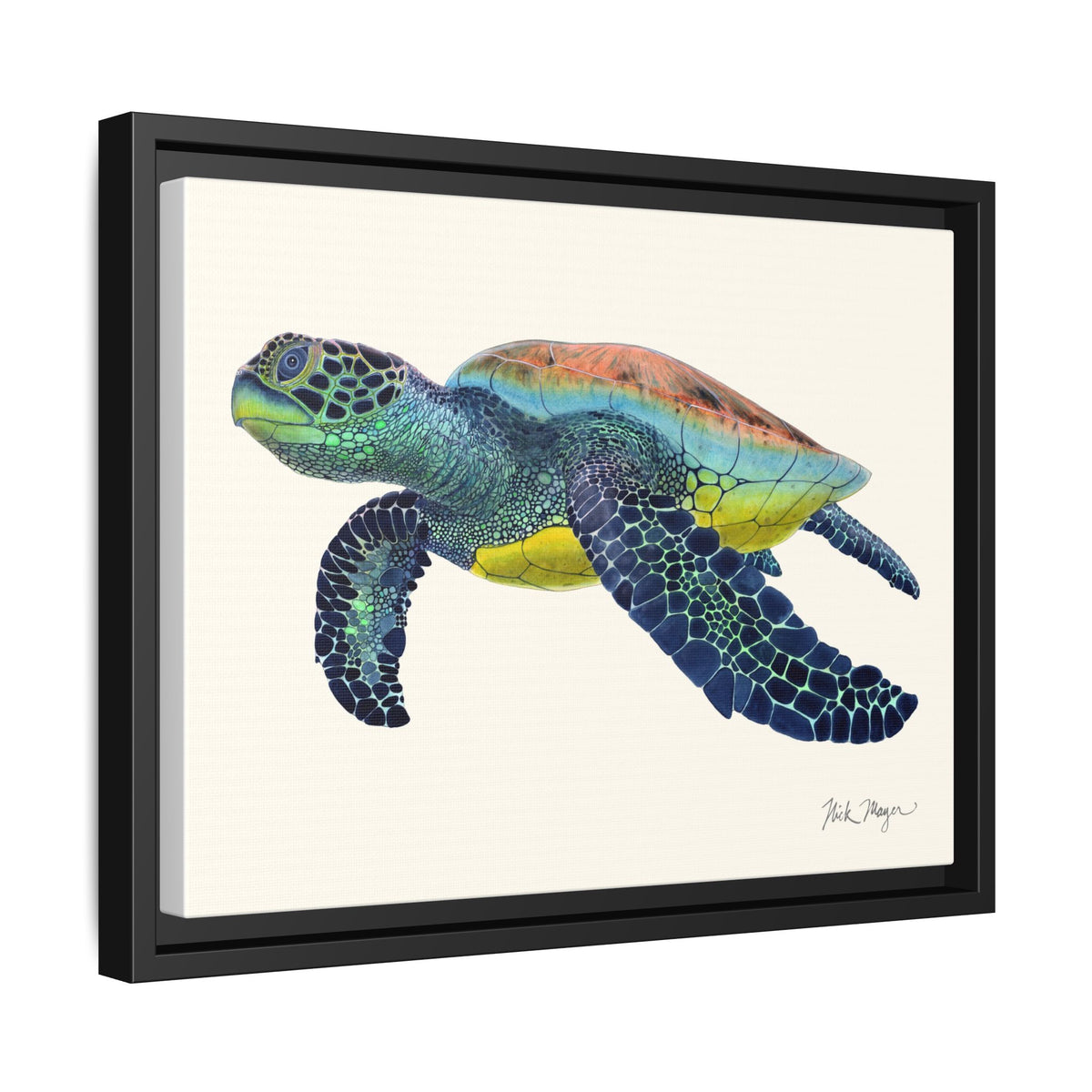 Green Sea Turtle II Framed Canvas Print Printify