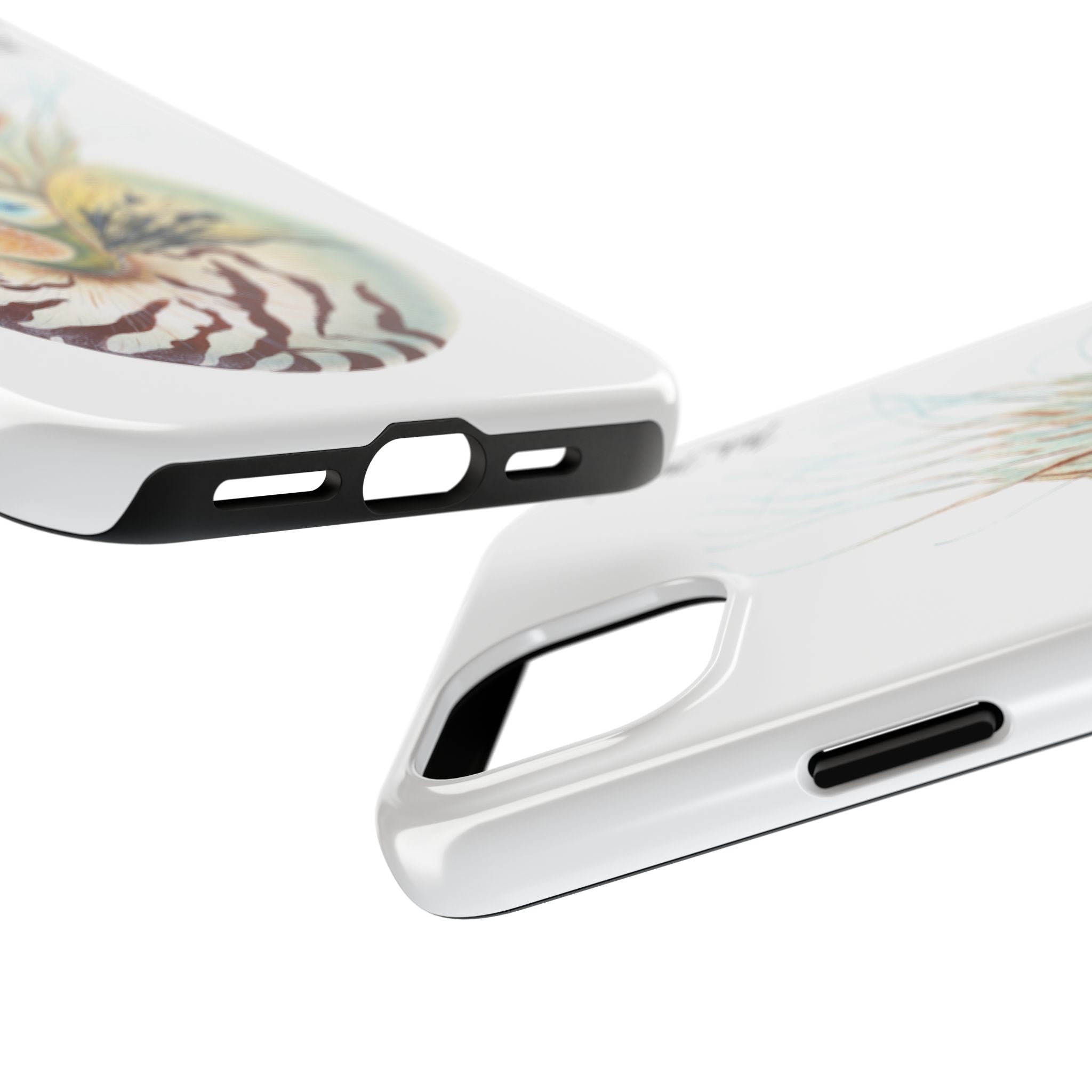 Chambered Nautilus Phone Case (iPhone)