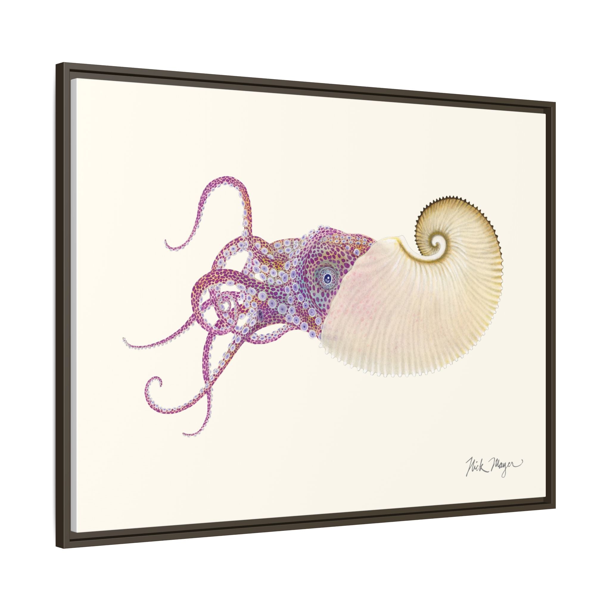 Paper Nautilus Framed Canvas Print Printify