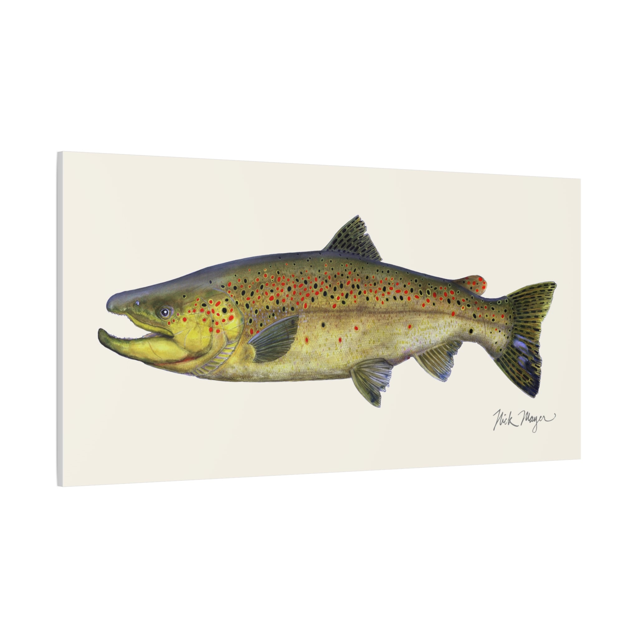 Brown Trout Canvas Print