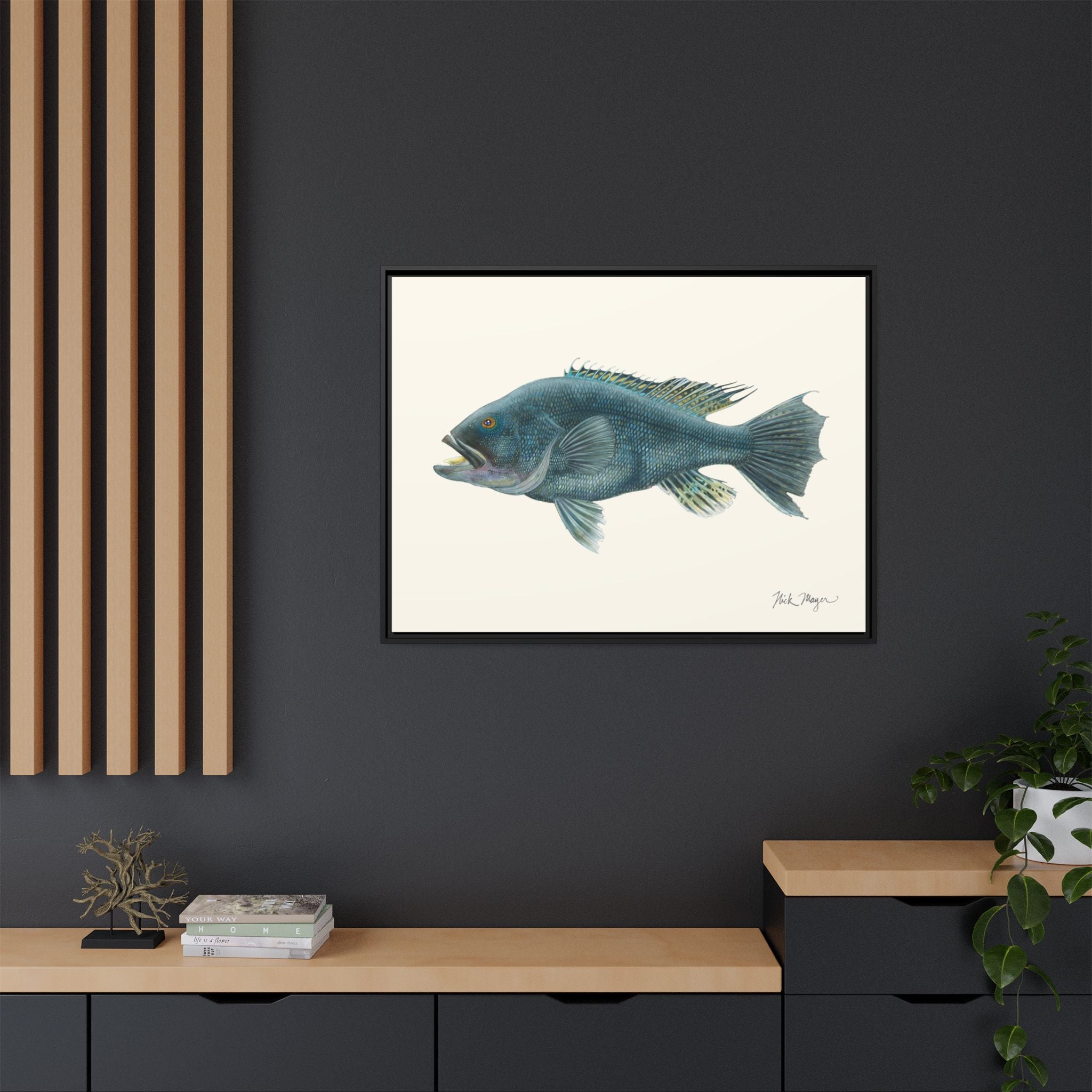 Black Sea Bass Framed Canvas Print Printify