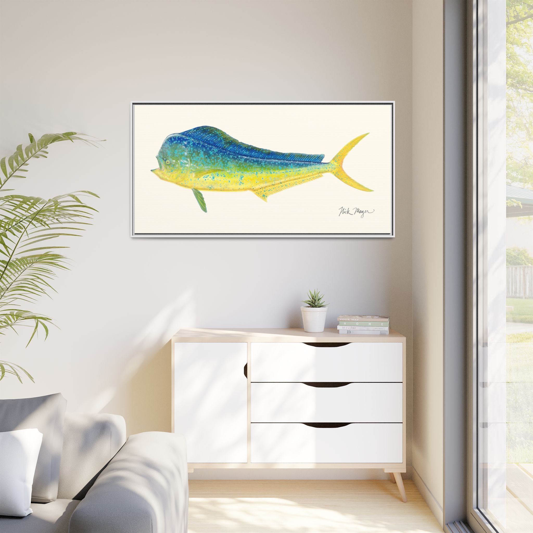 Bull Mahi Mahi Framed Canvas Print