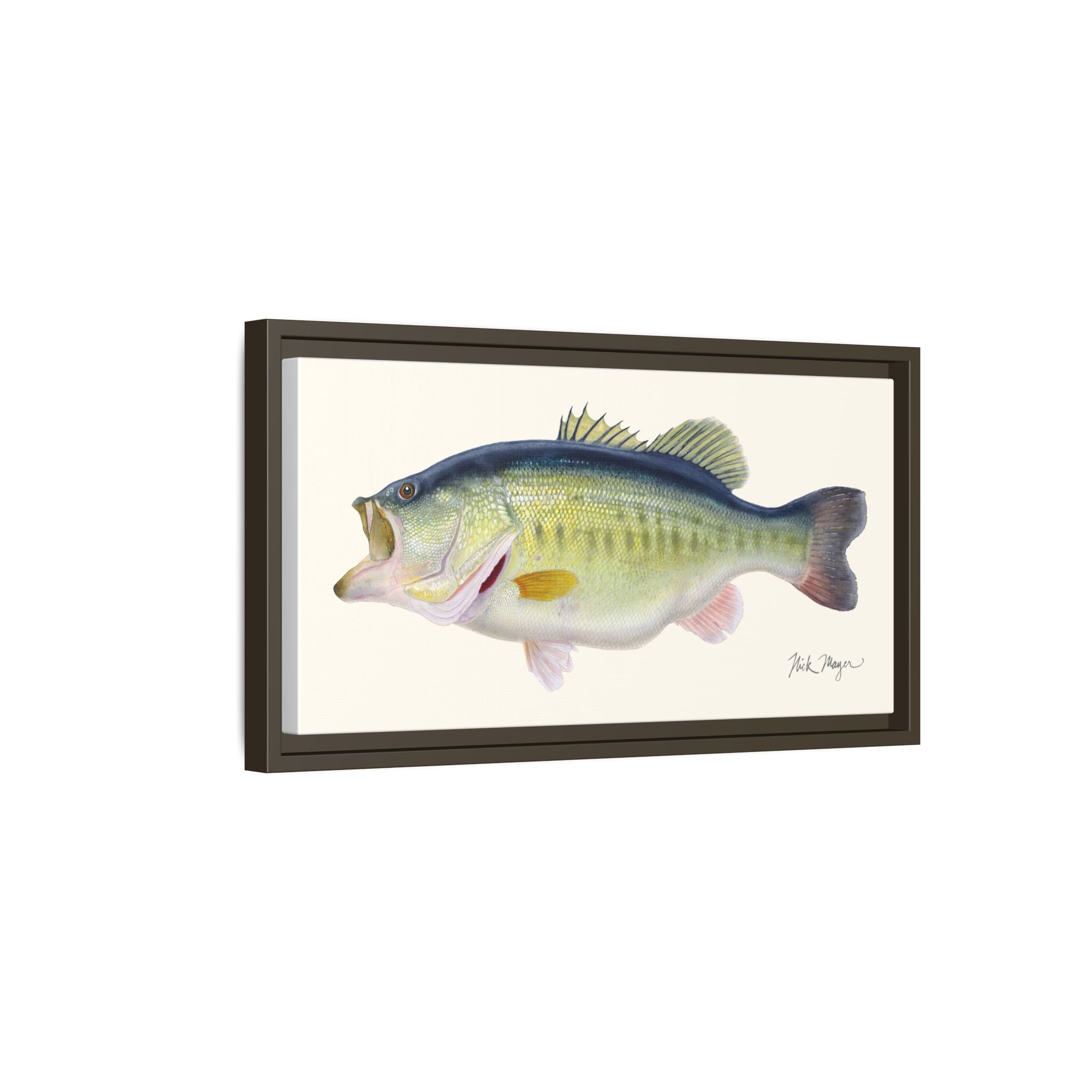 Largemouth Bass 3 Framed Canvas Print