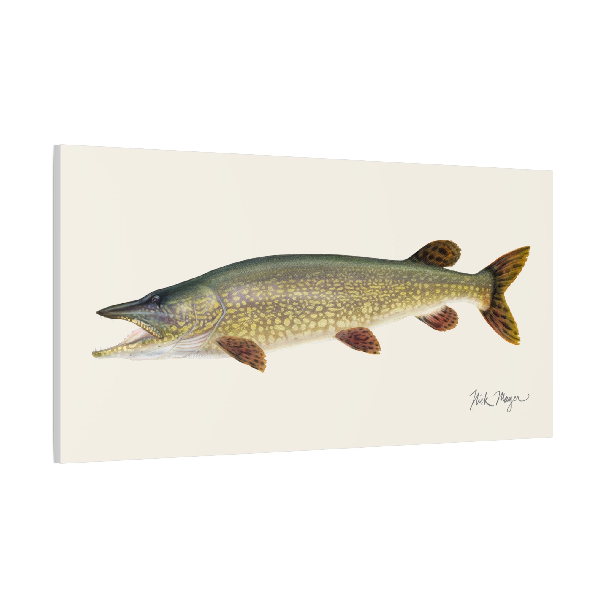 Northern Pike Canvas Print
