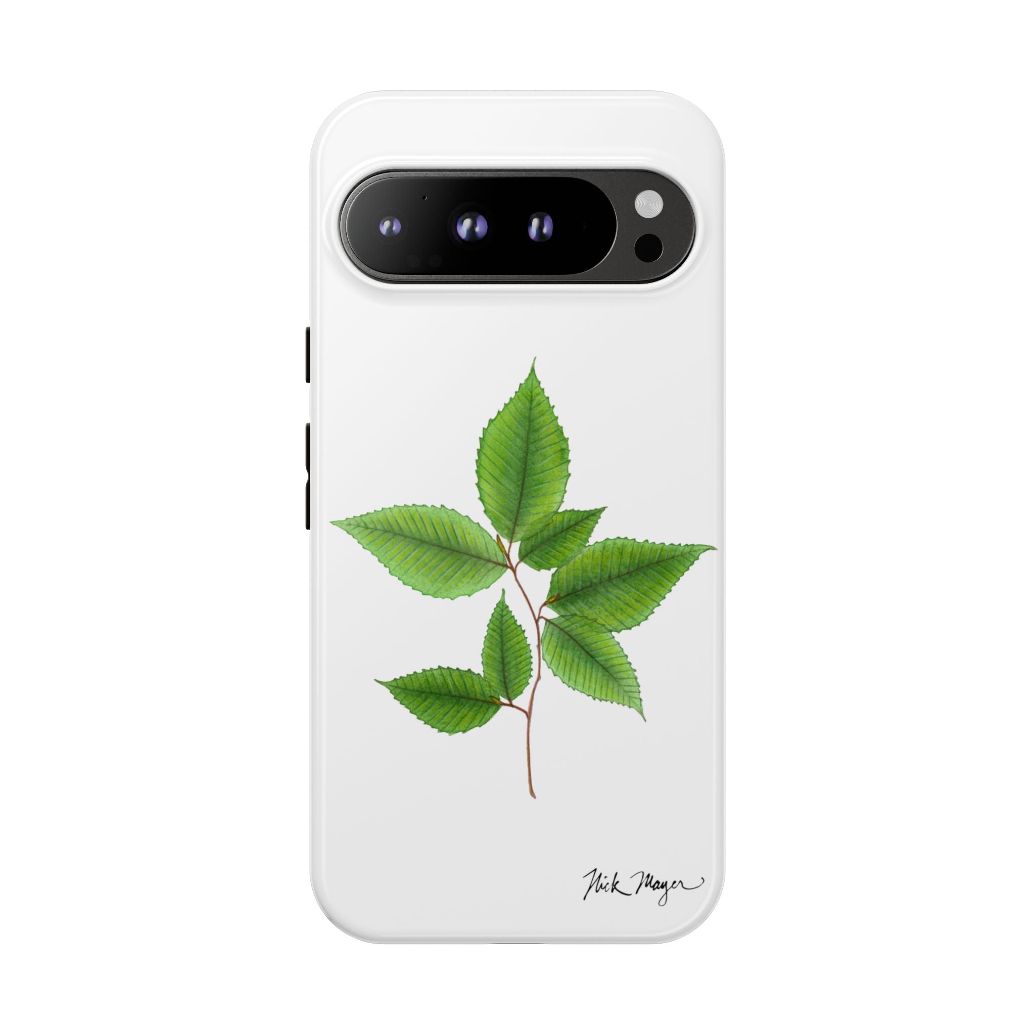 American Beech Phone Case (Samsung)