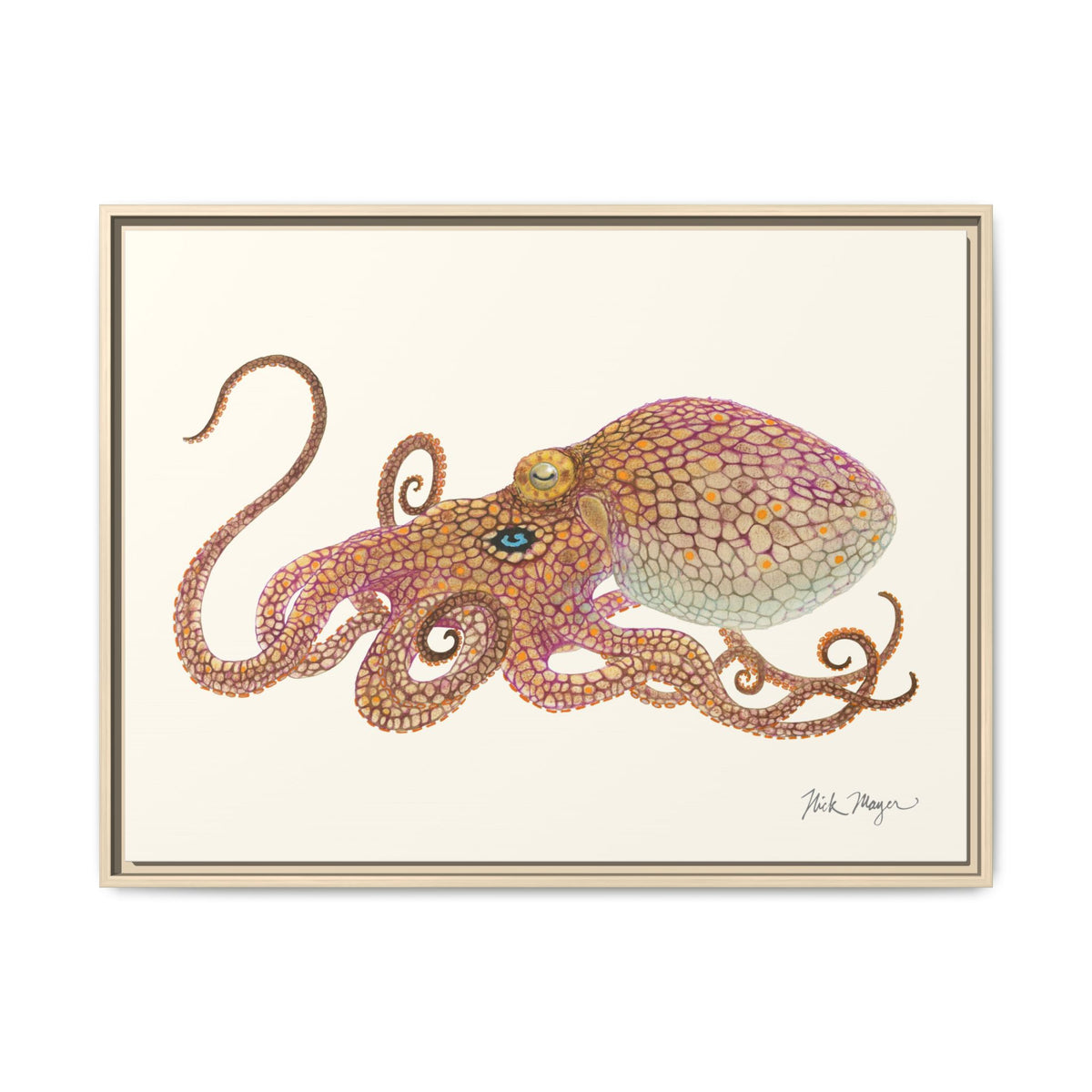 Two Spot Octopus Framed Canvas Print Printify