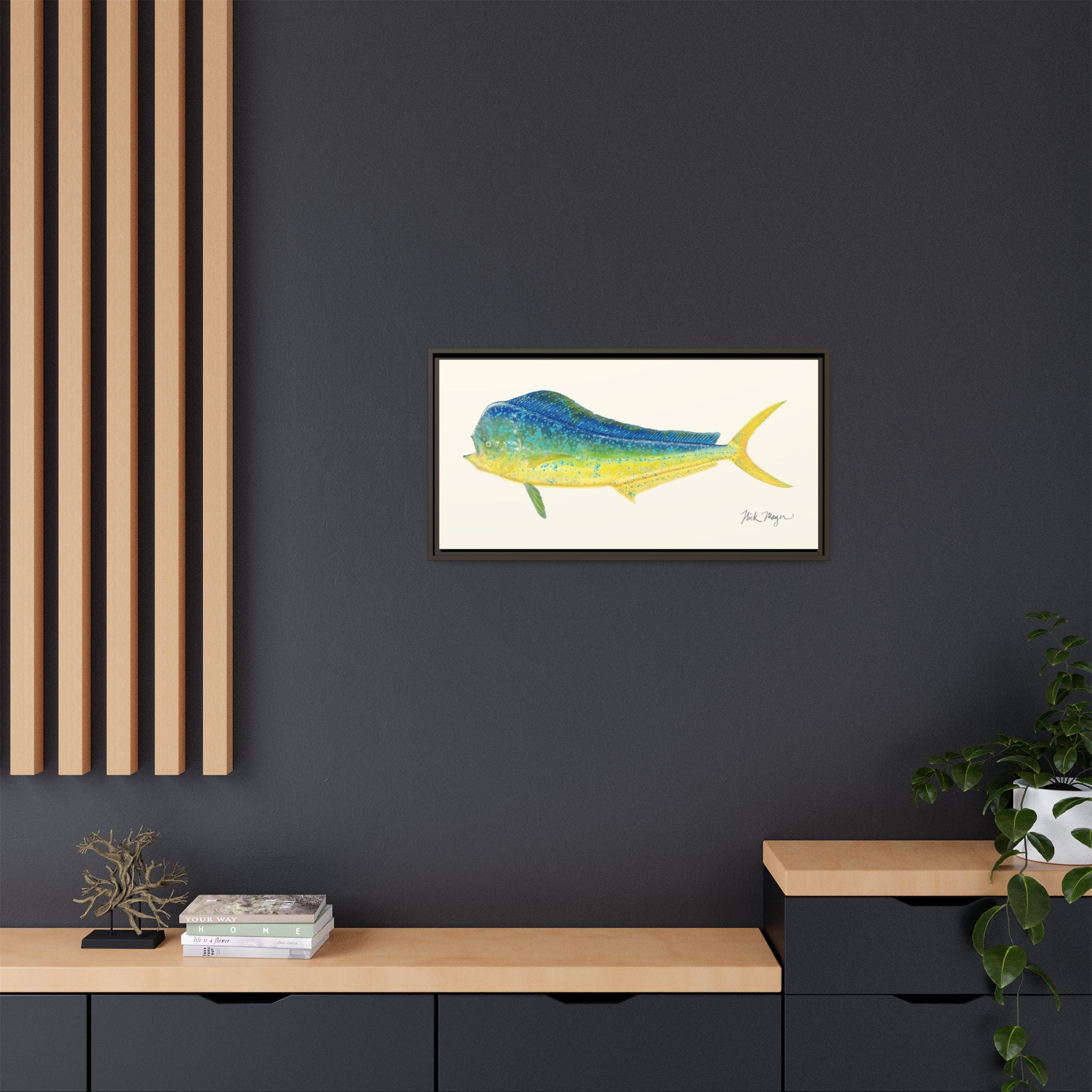 Bull Mahi Mahi Framed Canvas Print