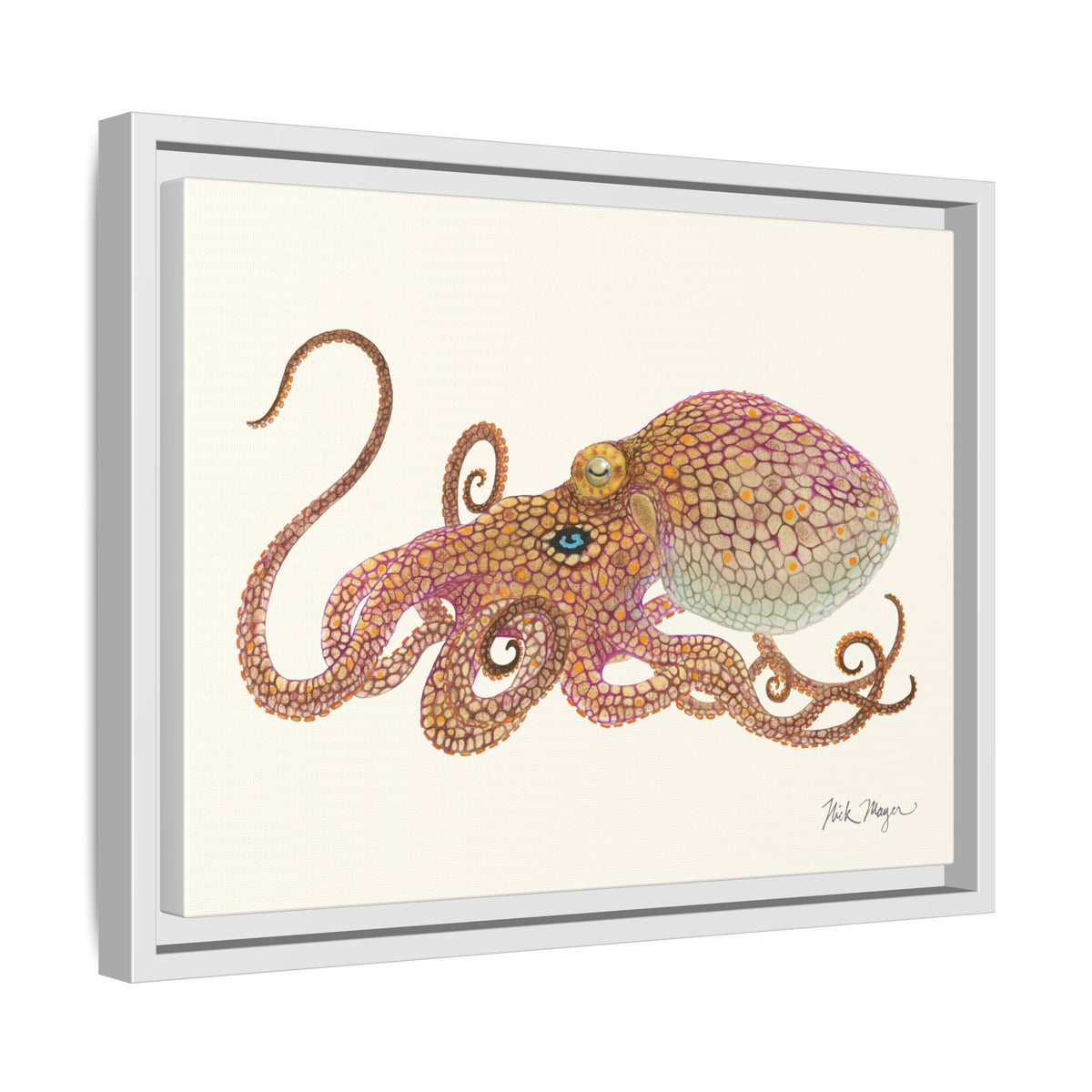 Two Spot Octopus Framed Canvas Print Printify