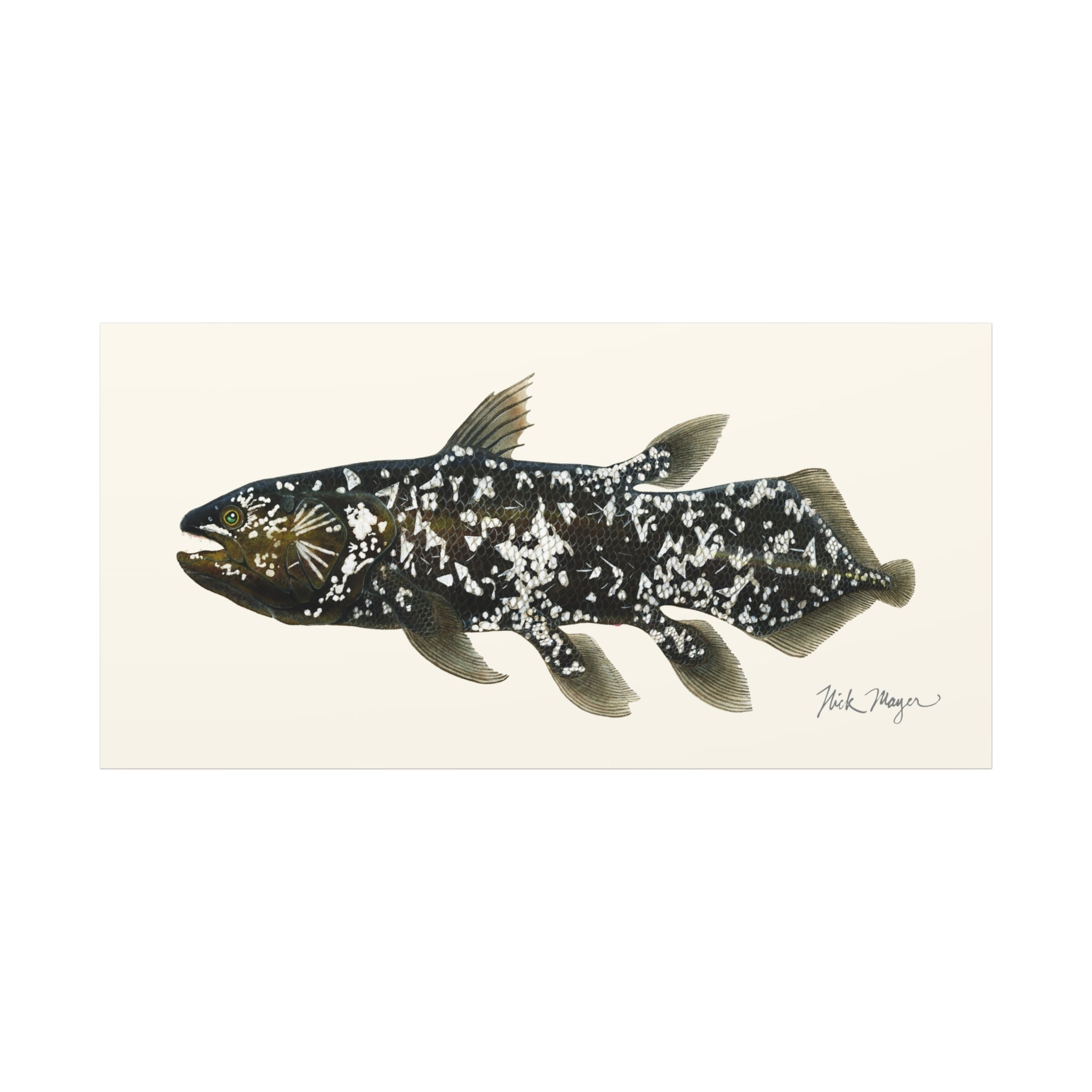 Coelacanth Canvas Print Printify