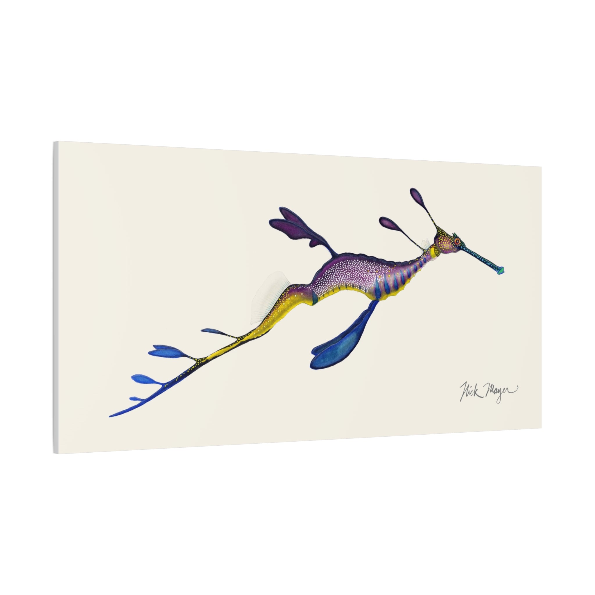Weedy Sea Dragon Canvas Print