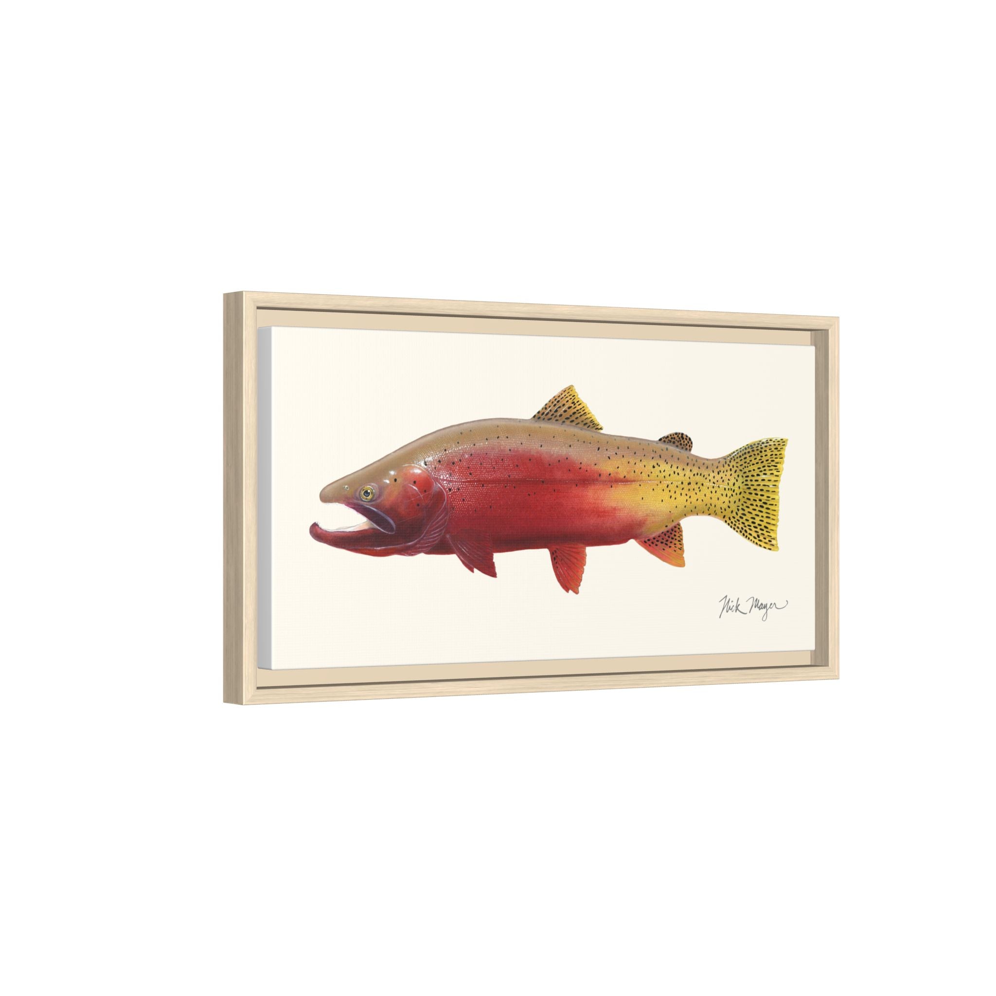 Cutthroat Trout II Framed Canvas Print Printify