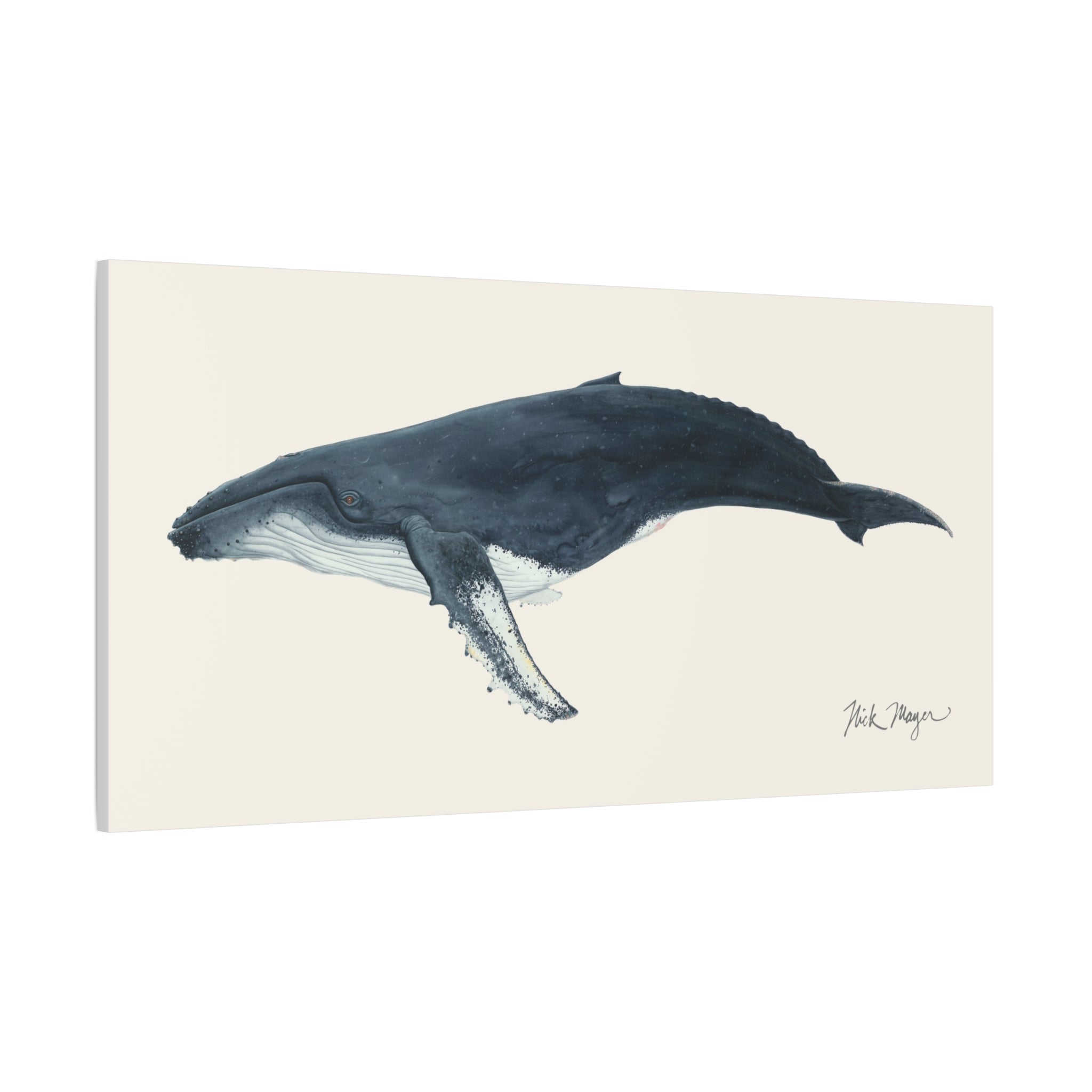 Humpback Whale Canvas Print