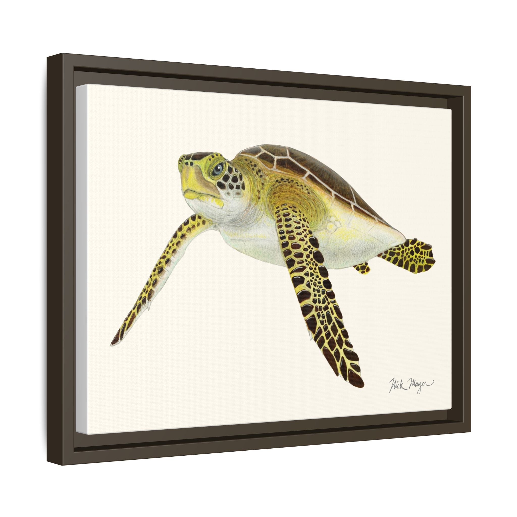 Green Sea Turtle III Framed Canvas Print Printify