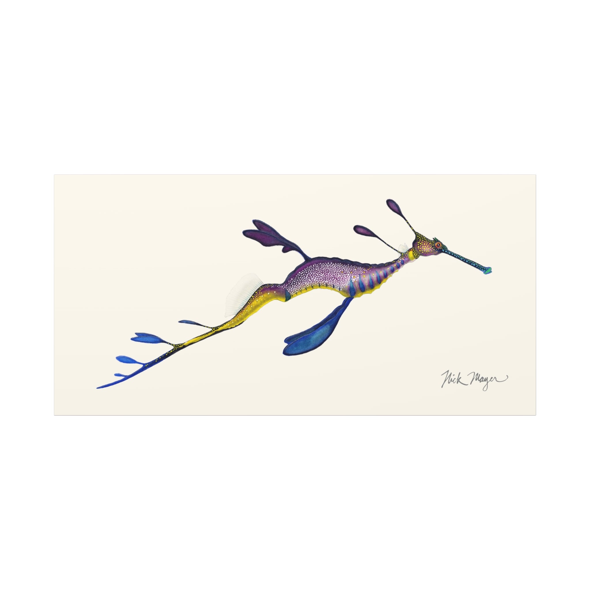 Weedy Sea Dragon Canvas Print