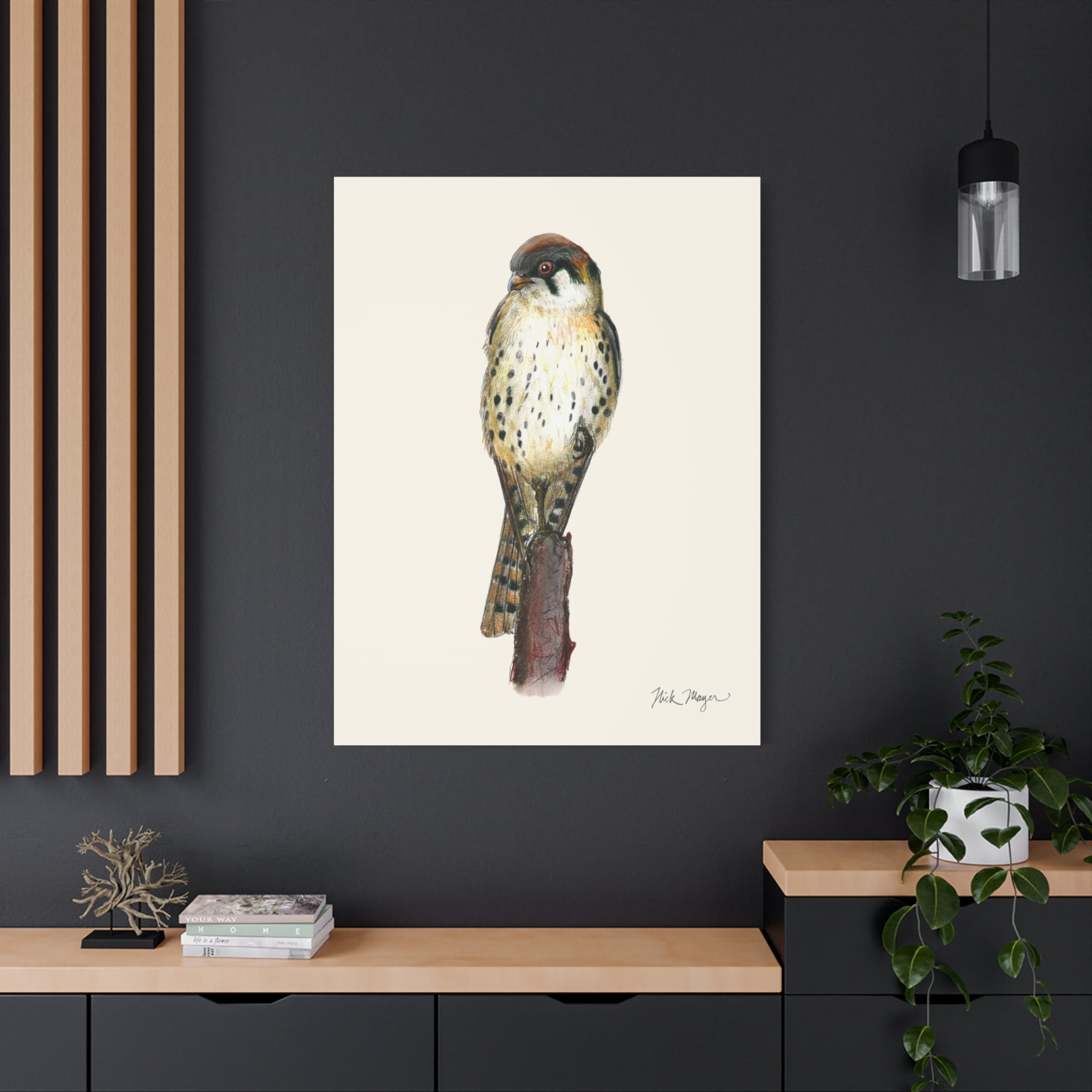 American Kestrel Canvas Print