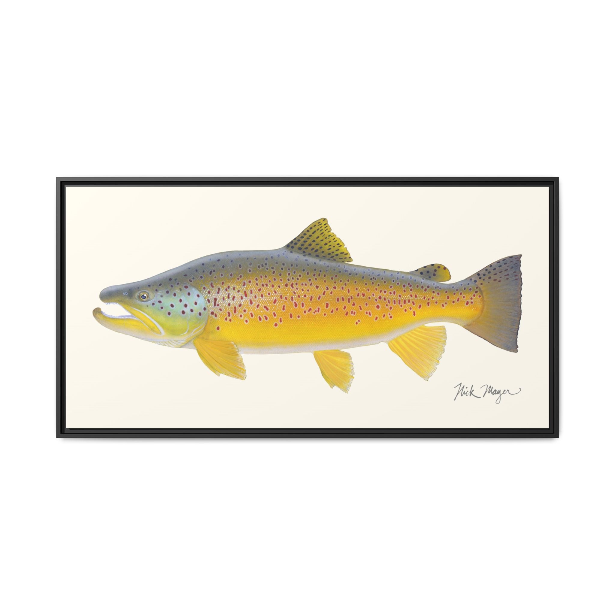 Brown Trout III Framed Canvas Print Printify