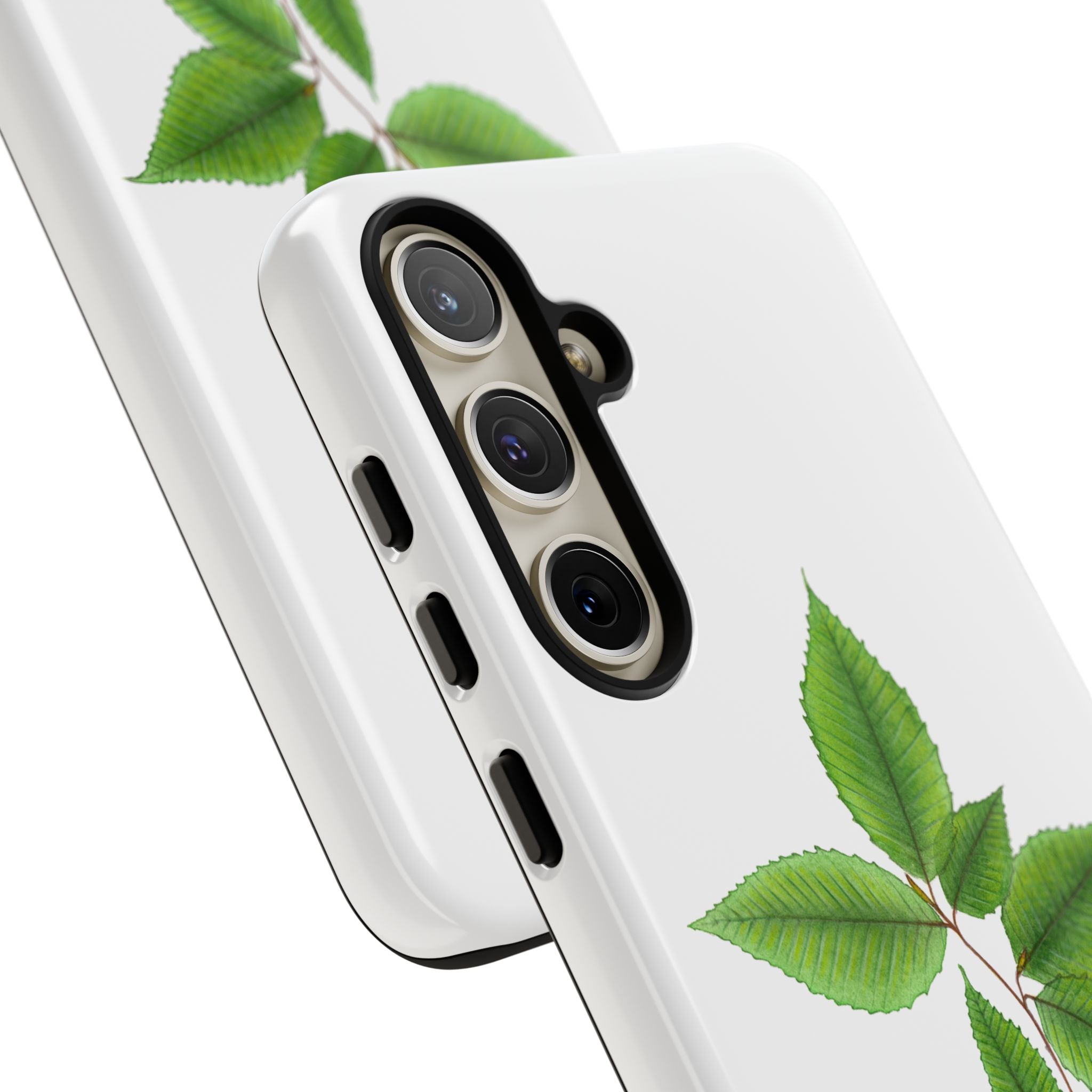 American Beech Phone Case (Samsung)