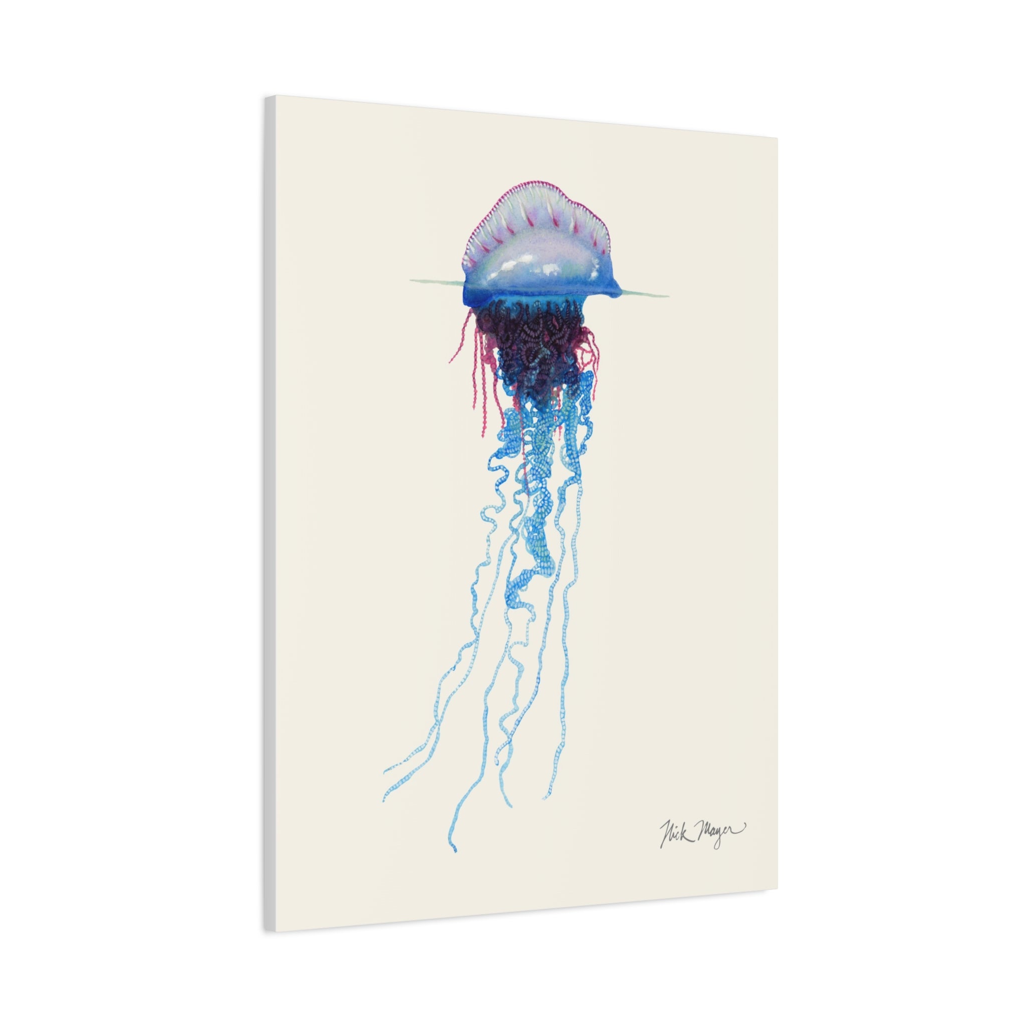 Portuguese Man O' War Canvas Print