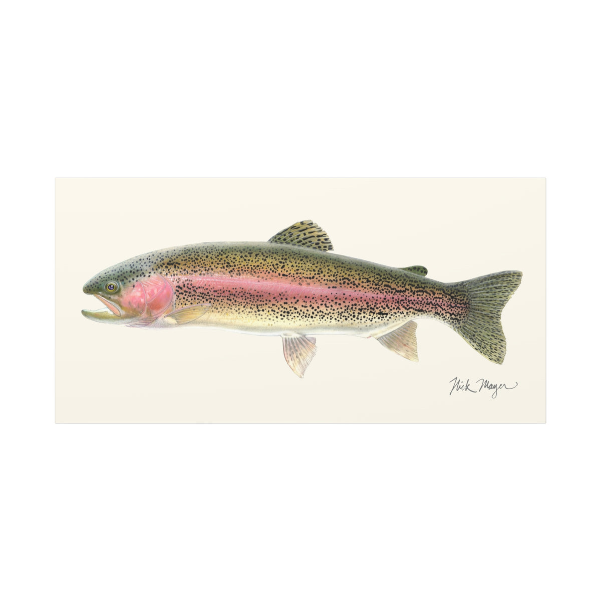 Rainbow Trout Canvas Print Printify