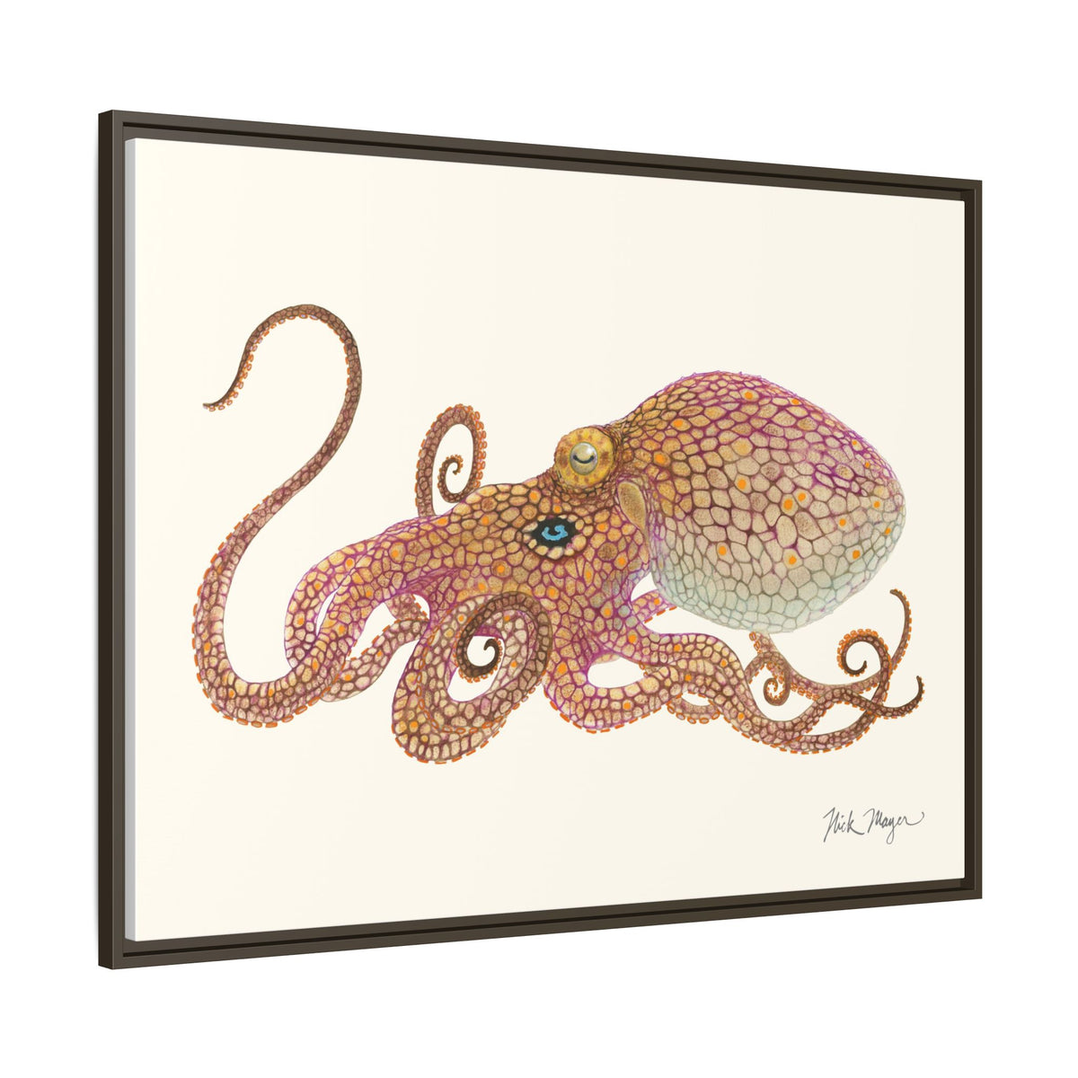 Two Spot Octopus Framed Canvas Print Printify
