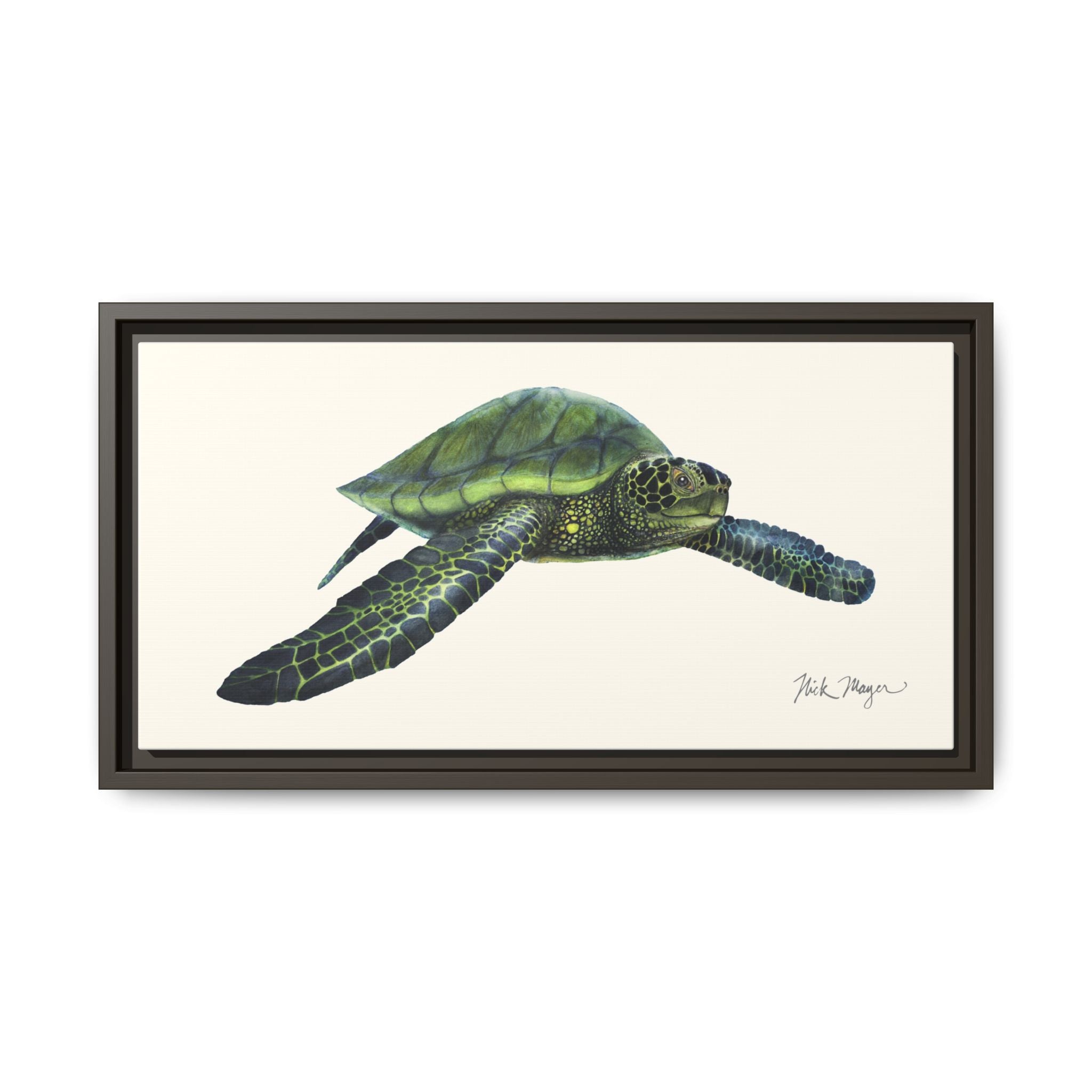 Green Sea Turtle I Framed Canvas Print Printify