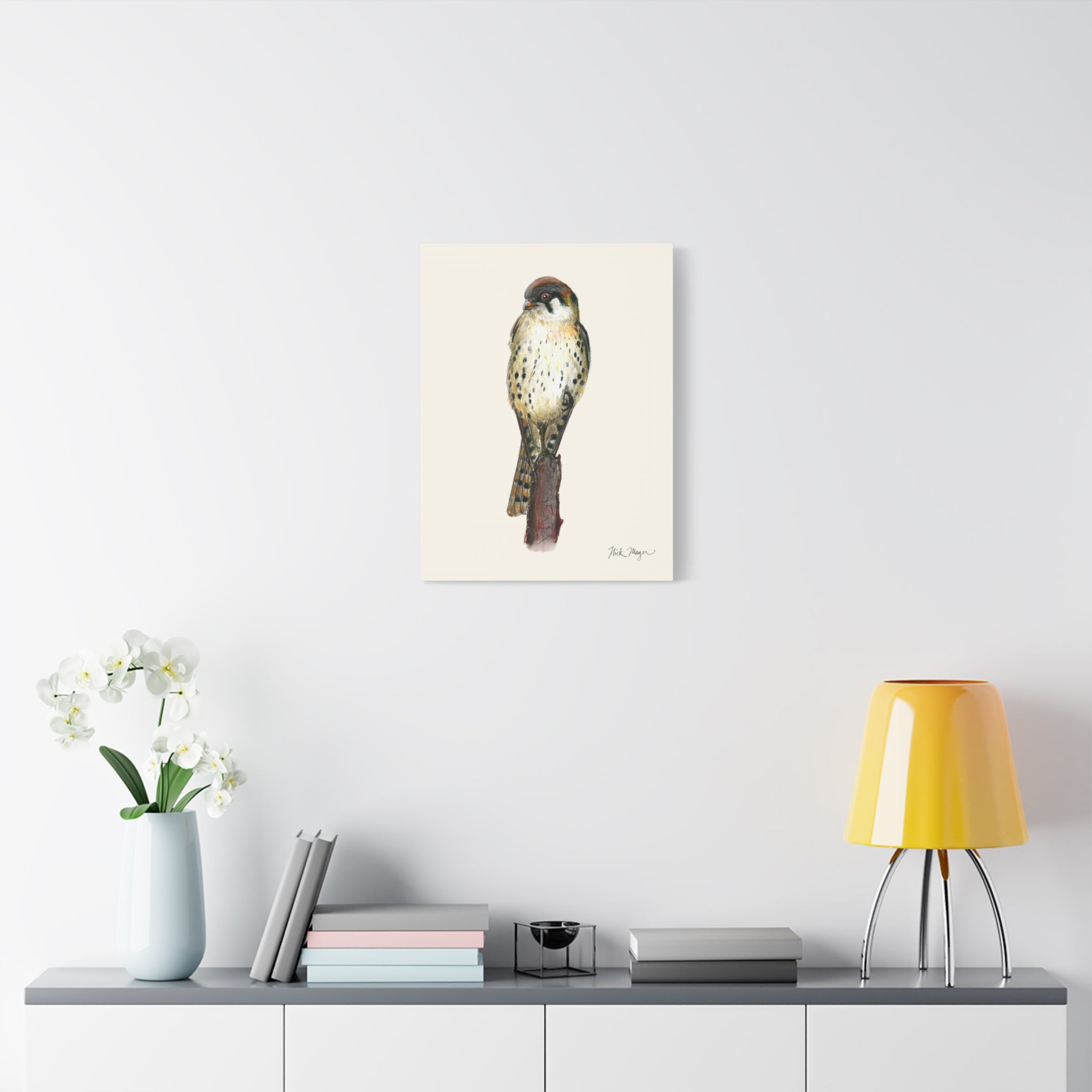 American Kestrel Canvas Print