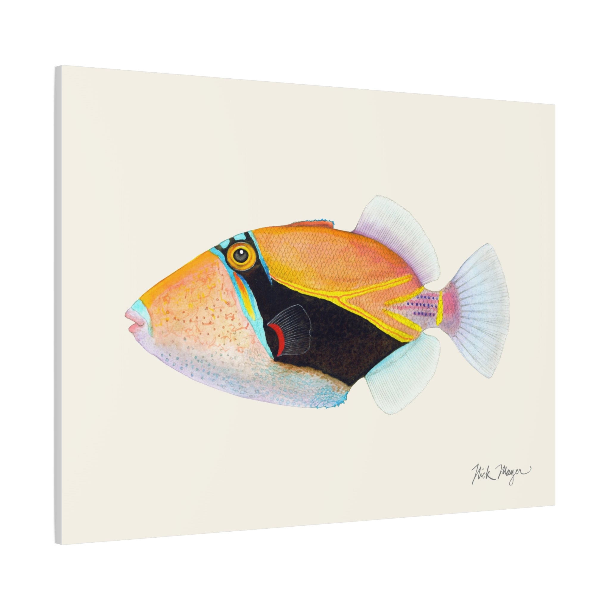 Humuhumunukunukuapua'a Canvas Print