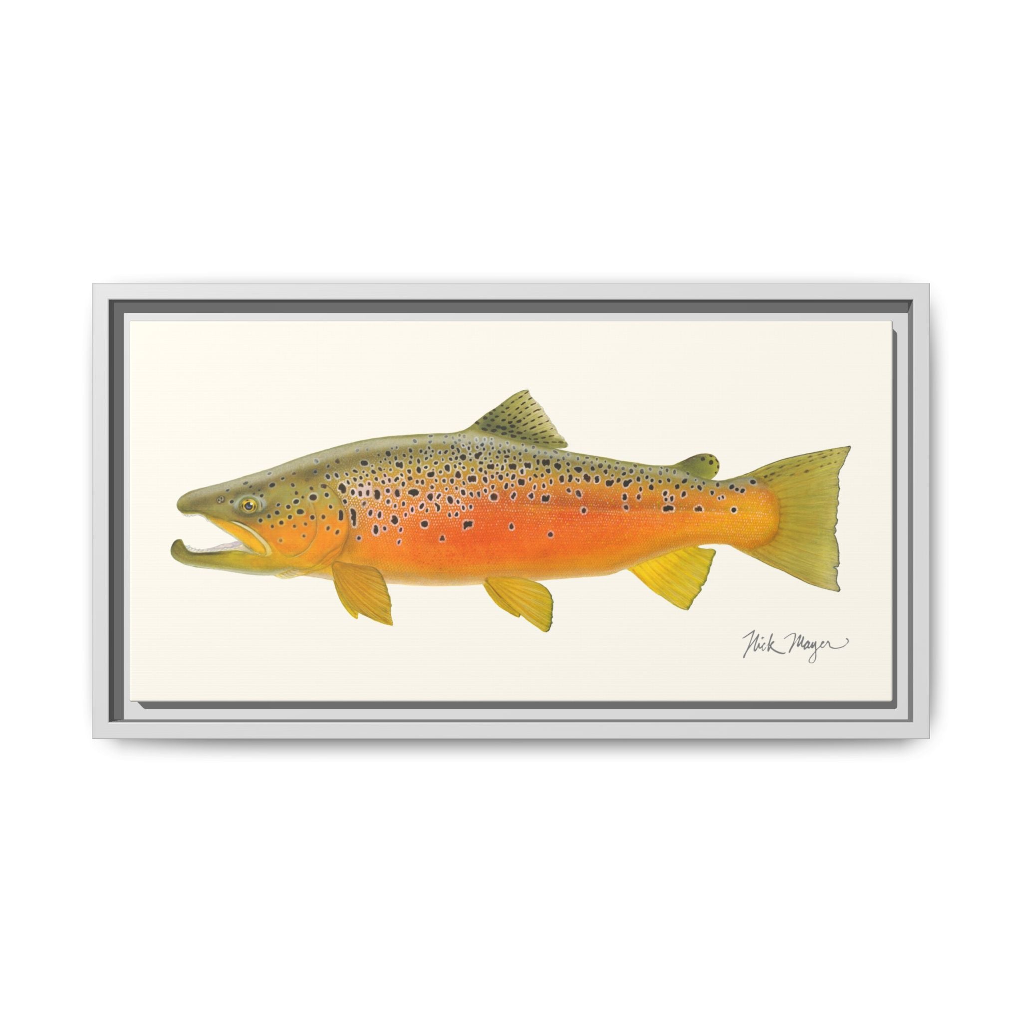Brown Trout II Framed Canvas Print Printify