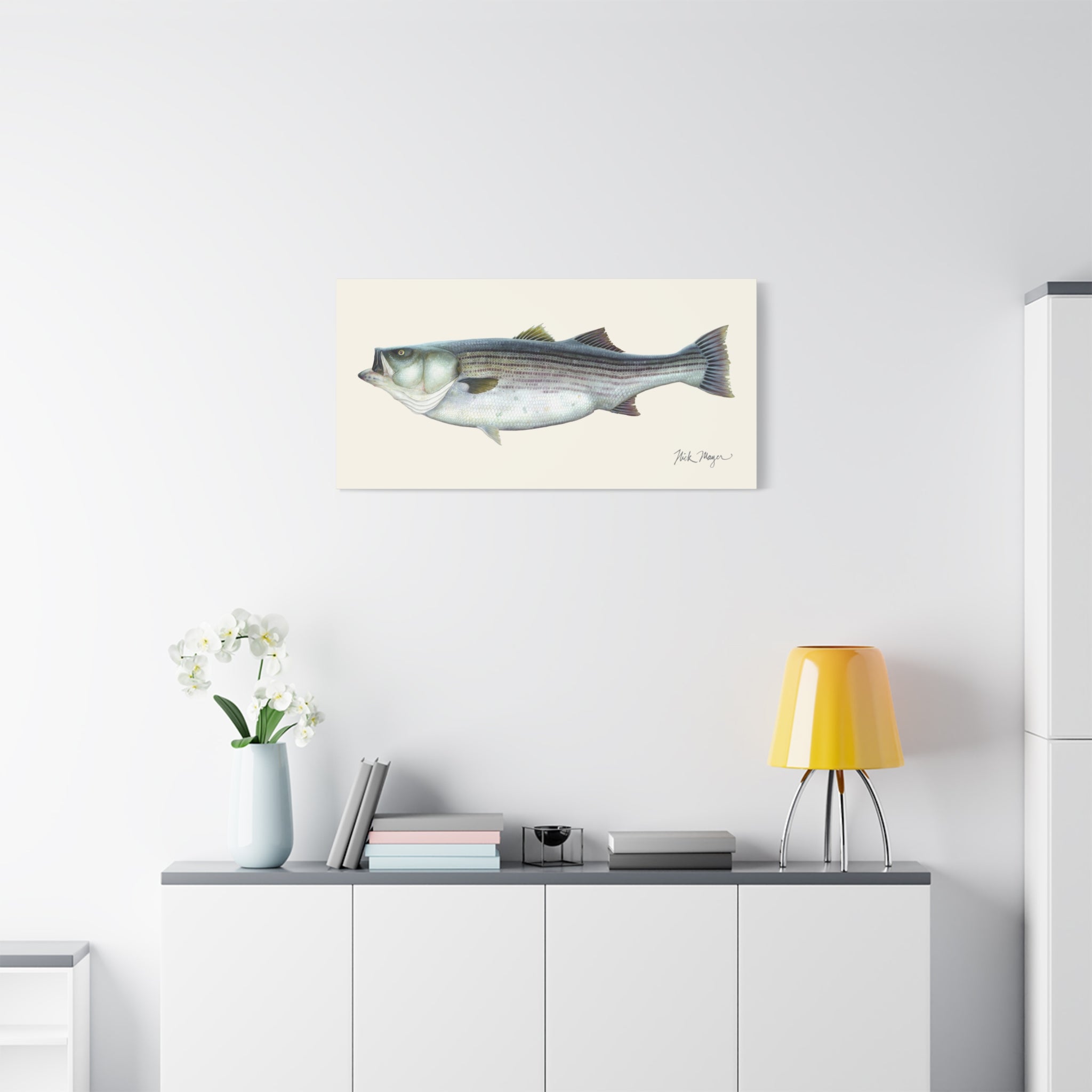 Striped Bass 60 lbs Canvas Print