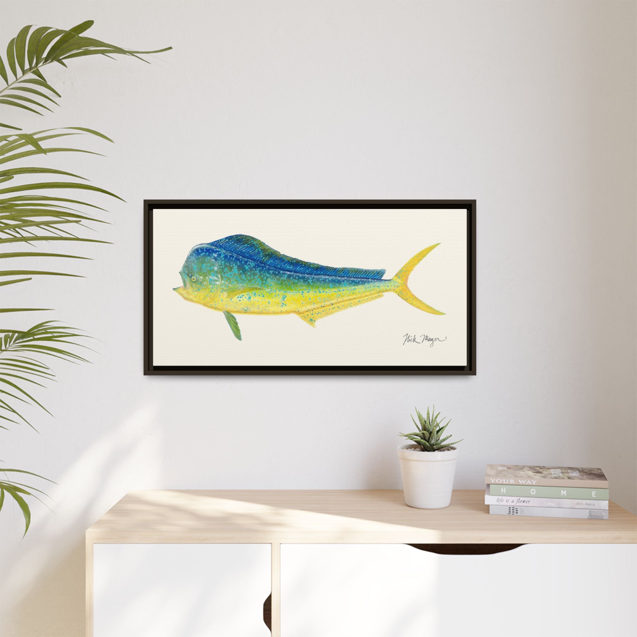 Bull Mahi Mahi Framed Canvas Print