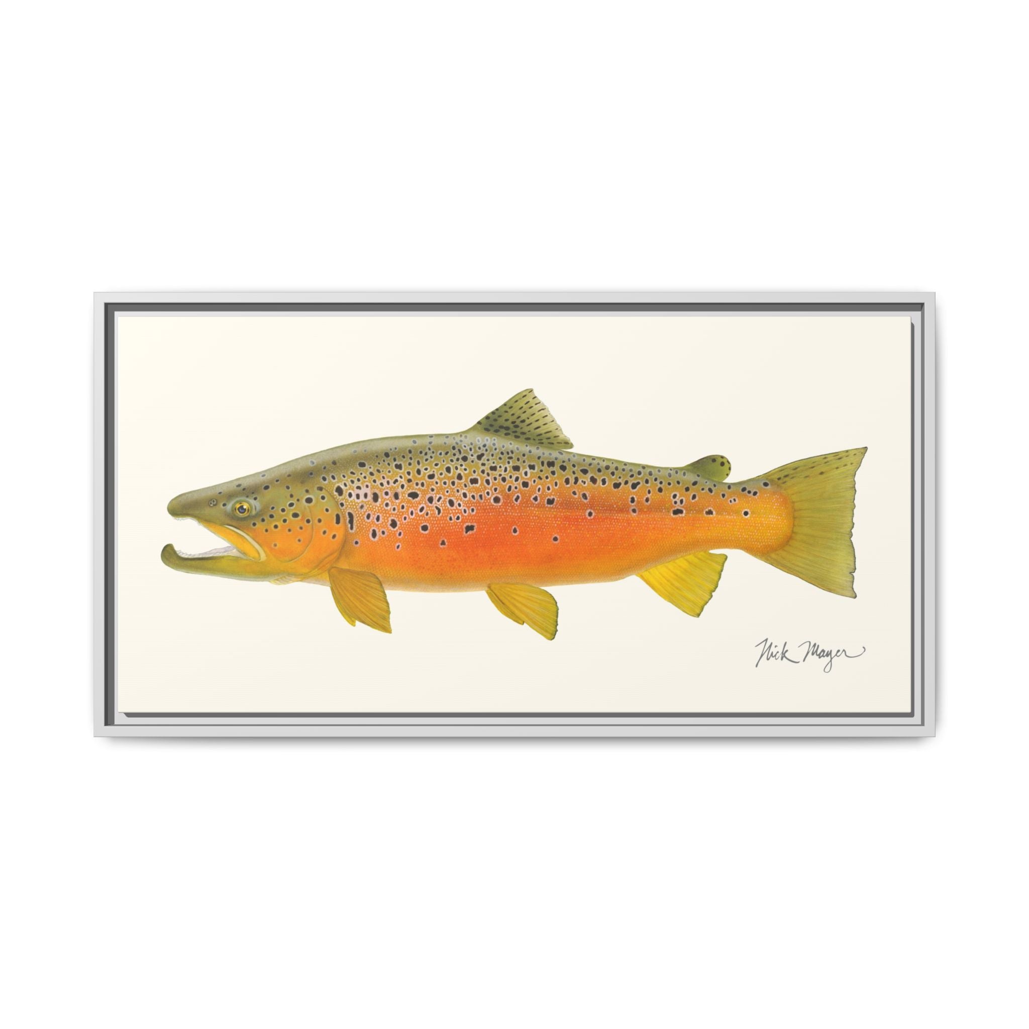 Brown Trout II Framed Canvas Print Printify