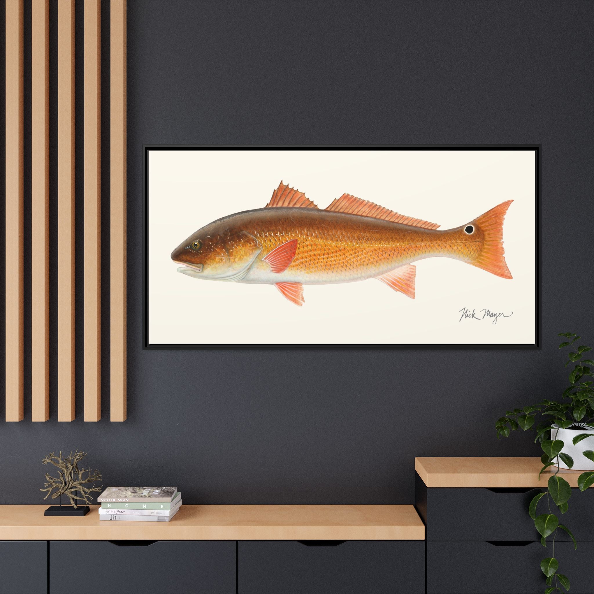 Redfish, 15 lbs Framed Canvas Print Printify