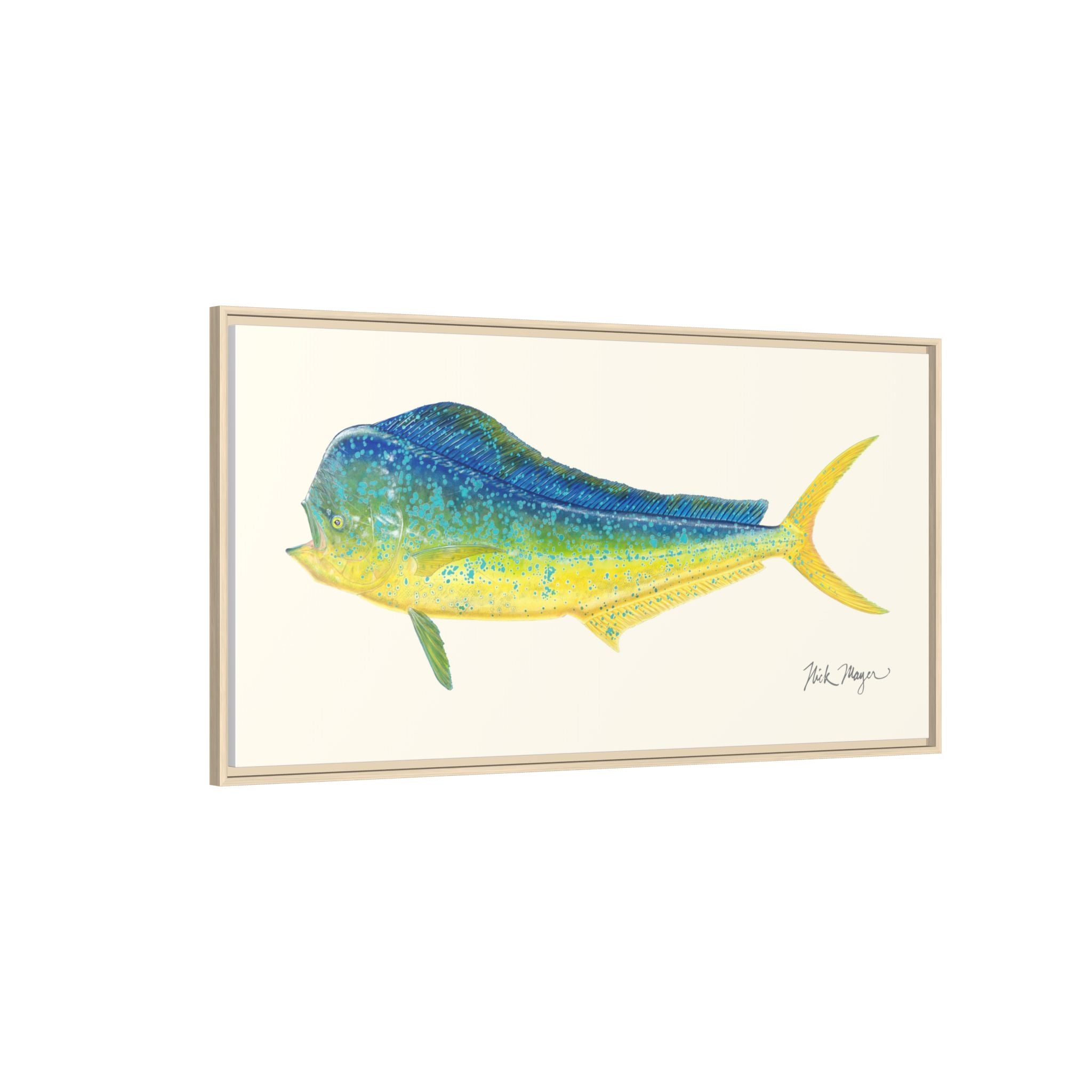 Bull Mahi Mahi Framed Canvas Print Printify