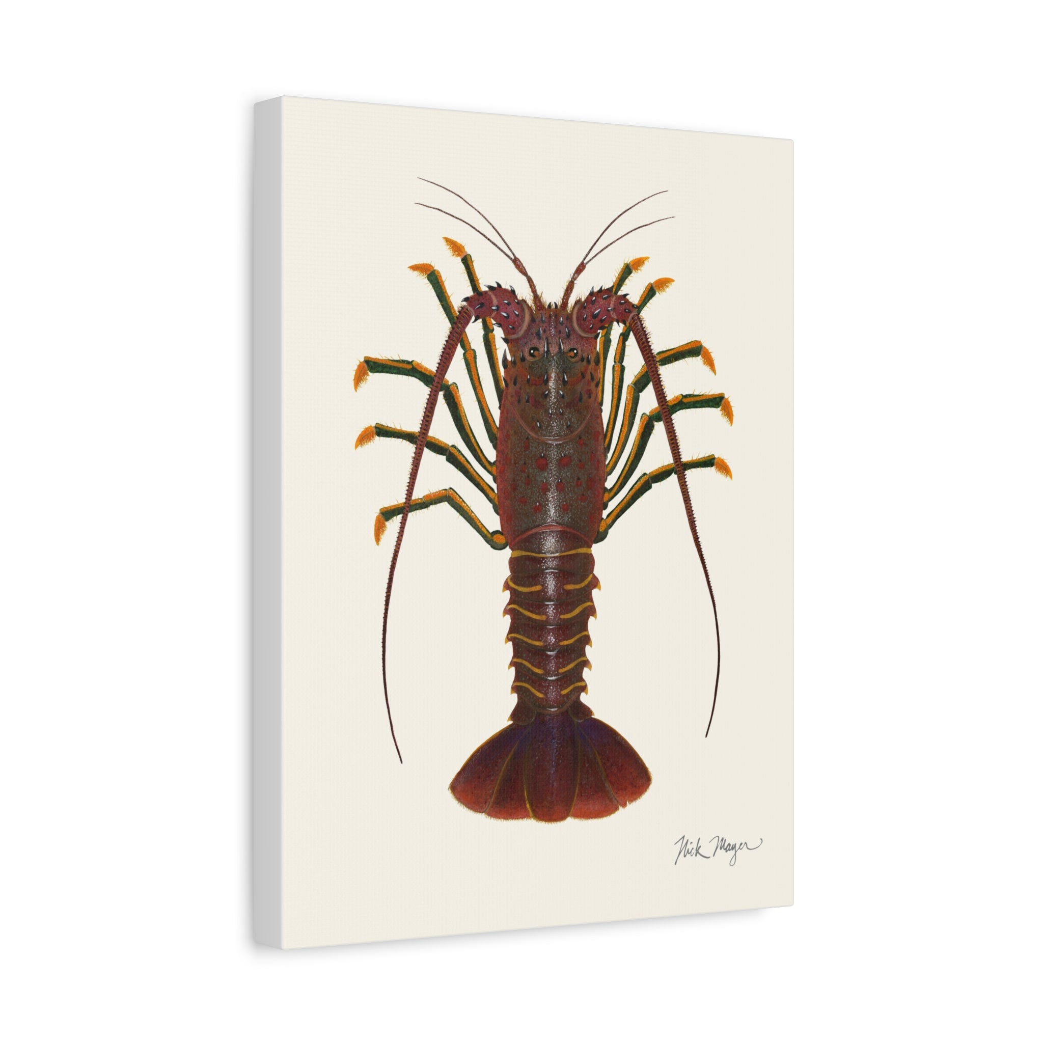 Spiny Lobster Canvas Print