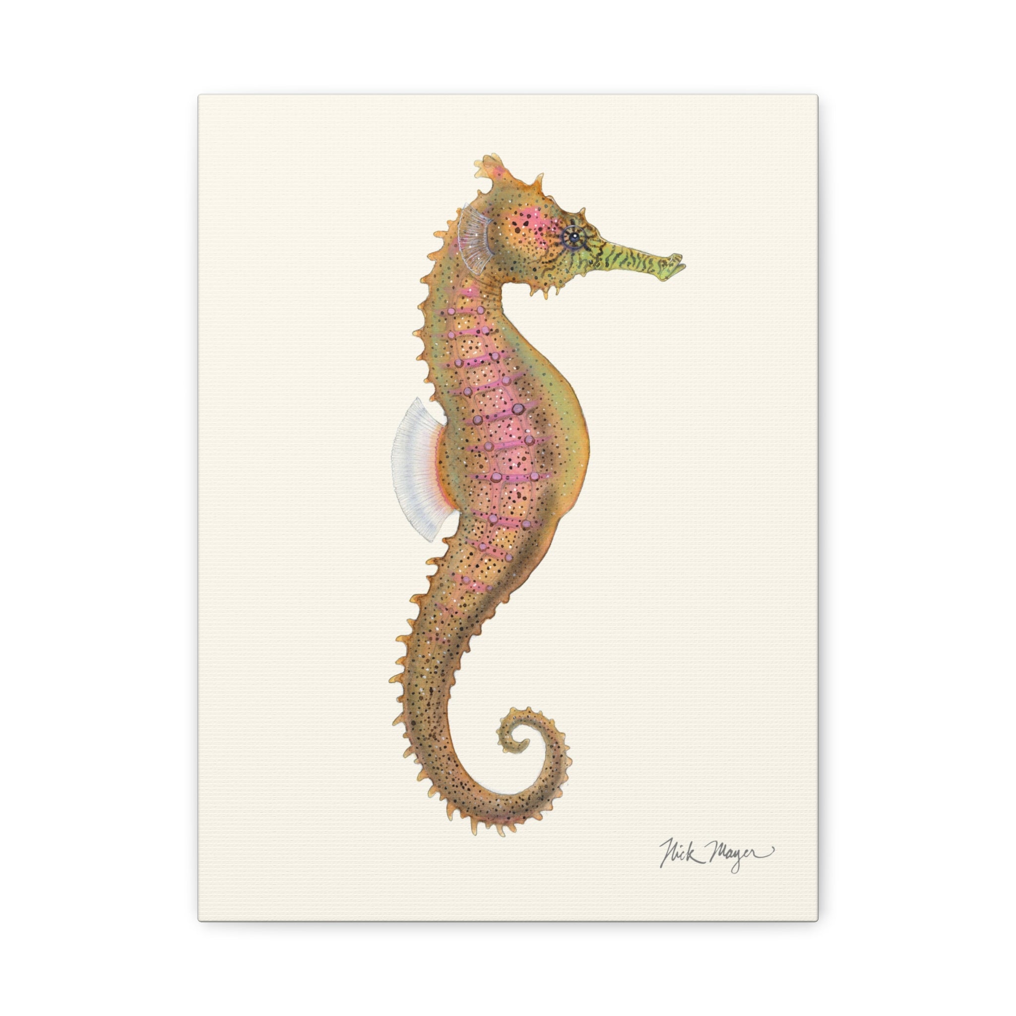 Estuary Seahorse Canvas Print