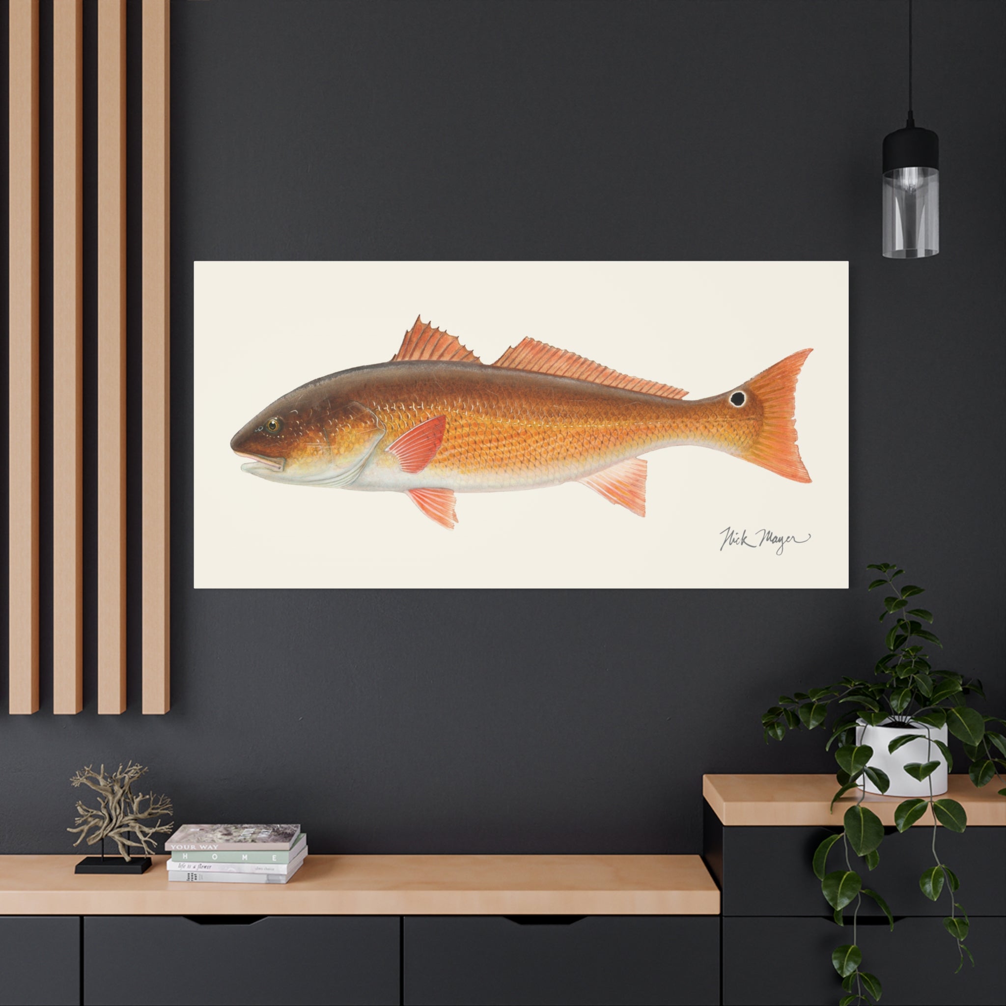 Redfish, 15 lbs Canvas Print