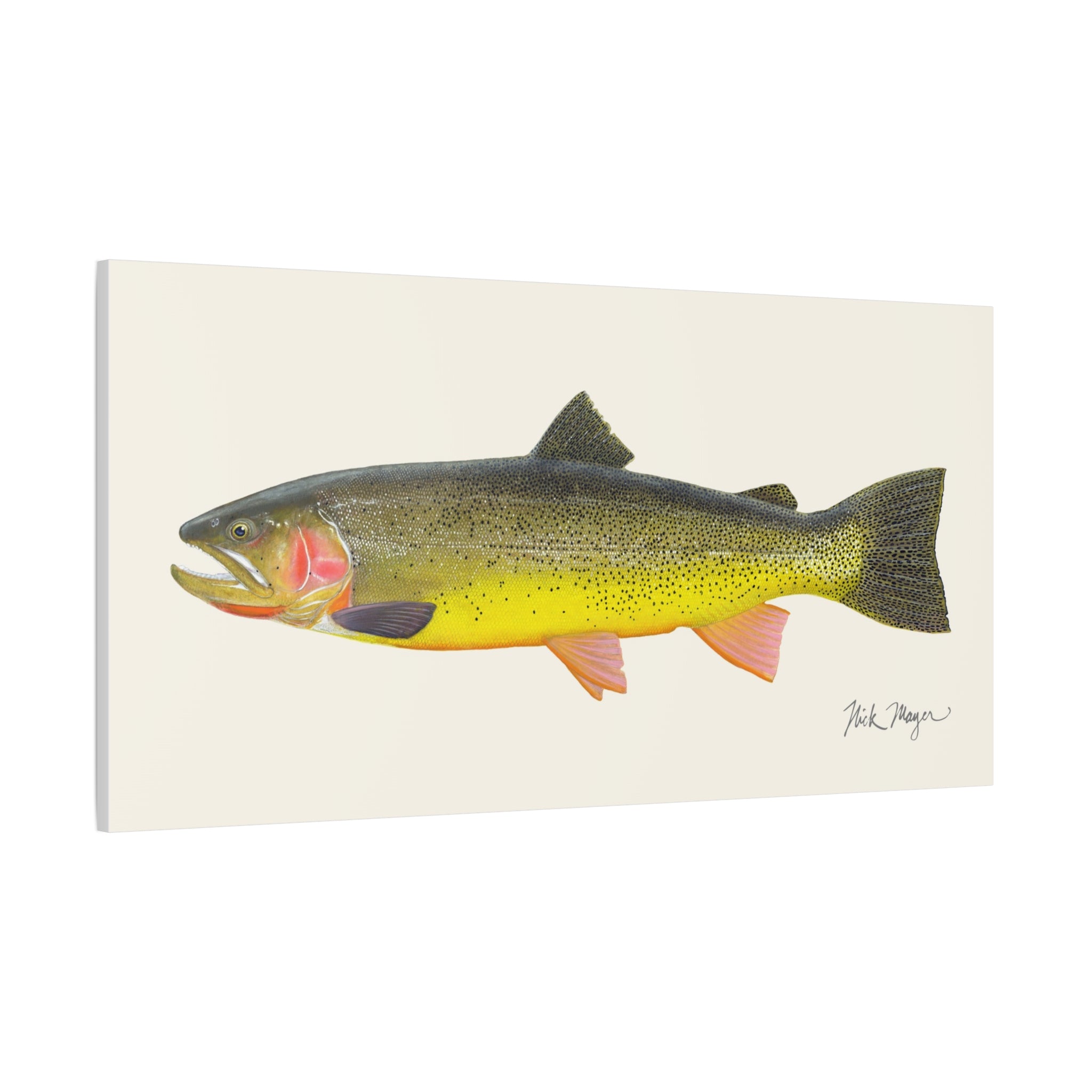 Cutthroat Trout III Canvas Print Printify