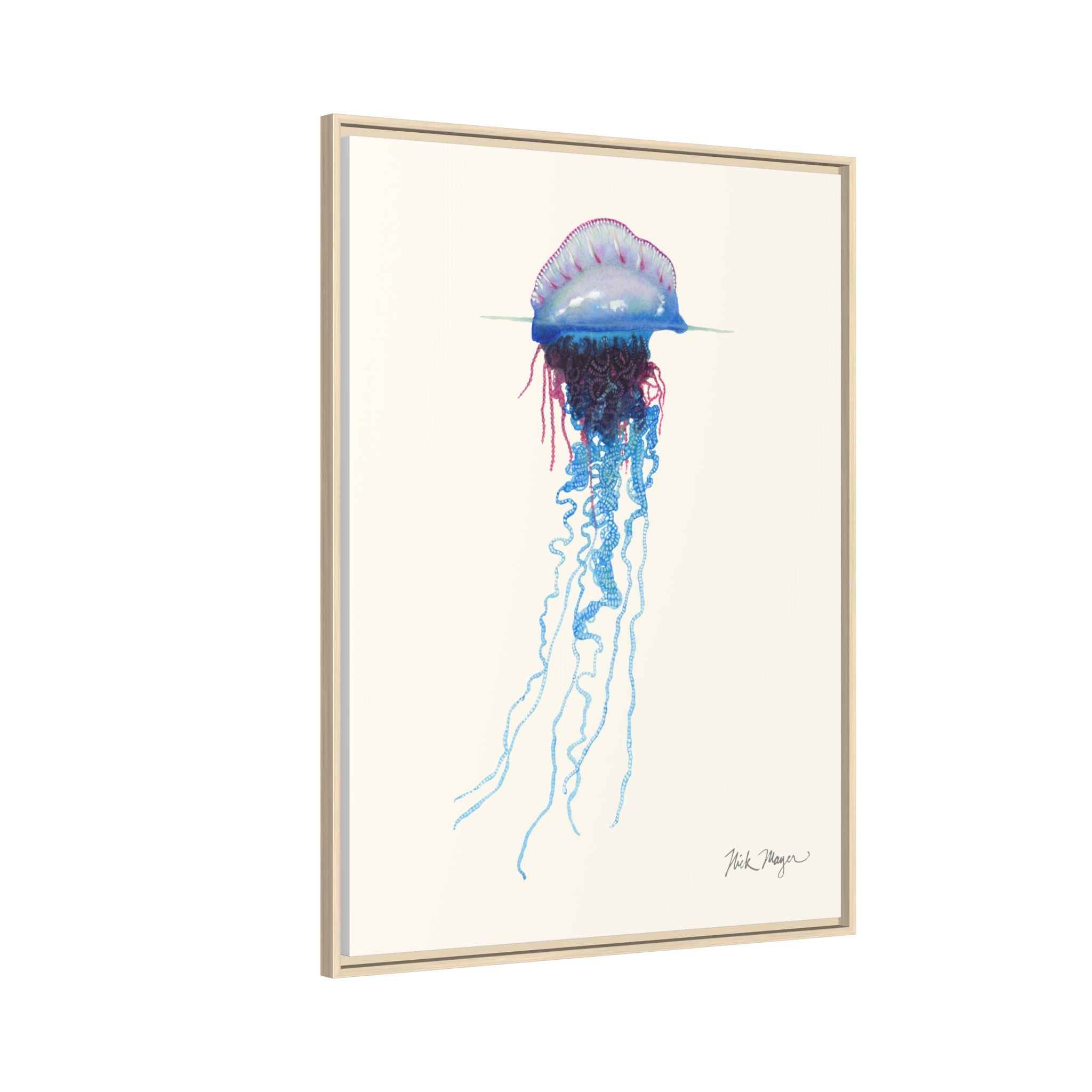 Portuguese Man O' War Framed Canvas Print Printify