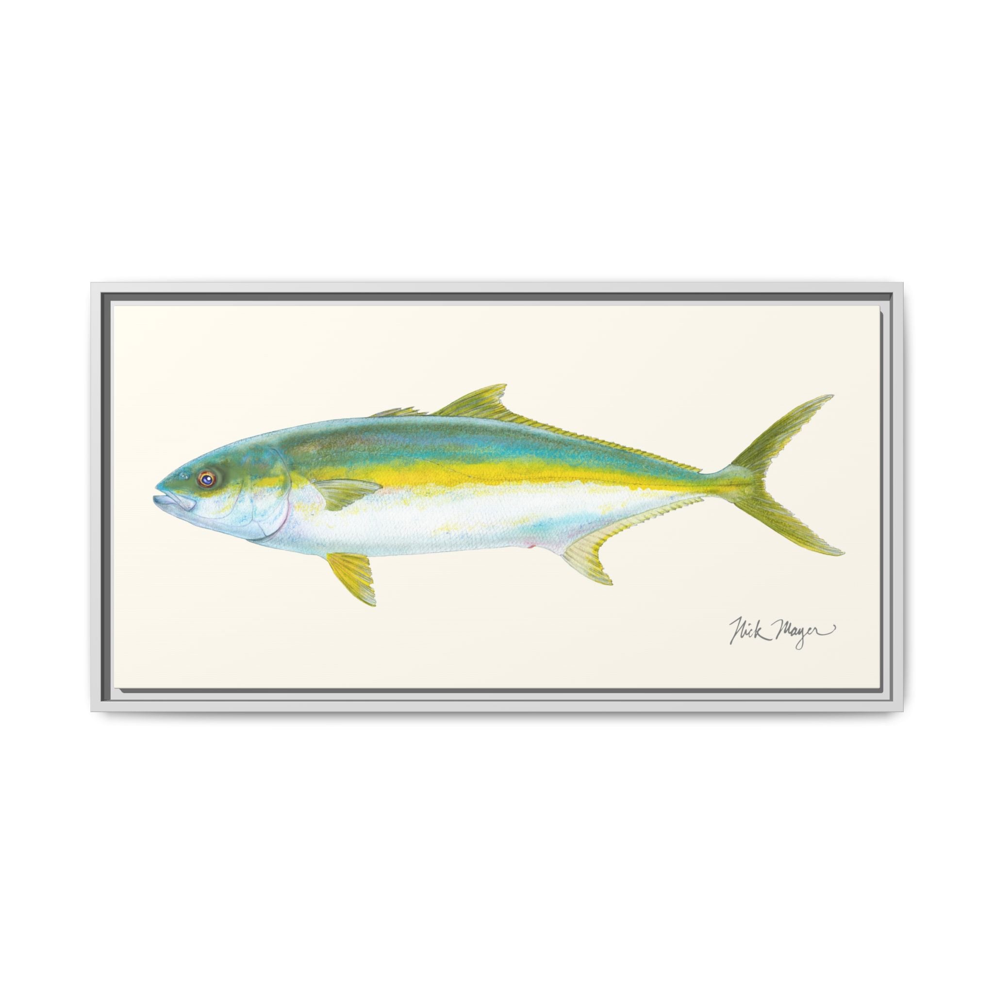 California Yellowtail I Framed Canvas Print Printify