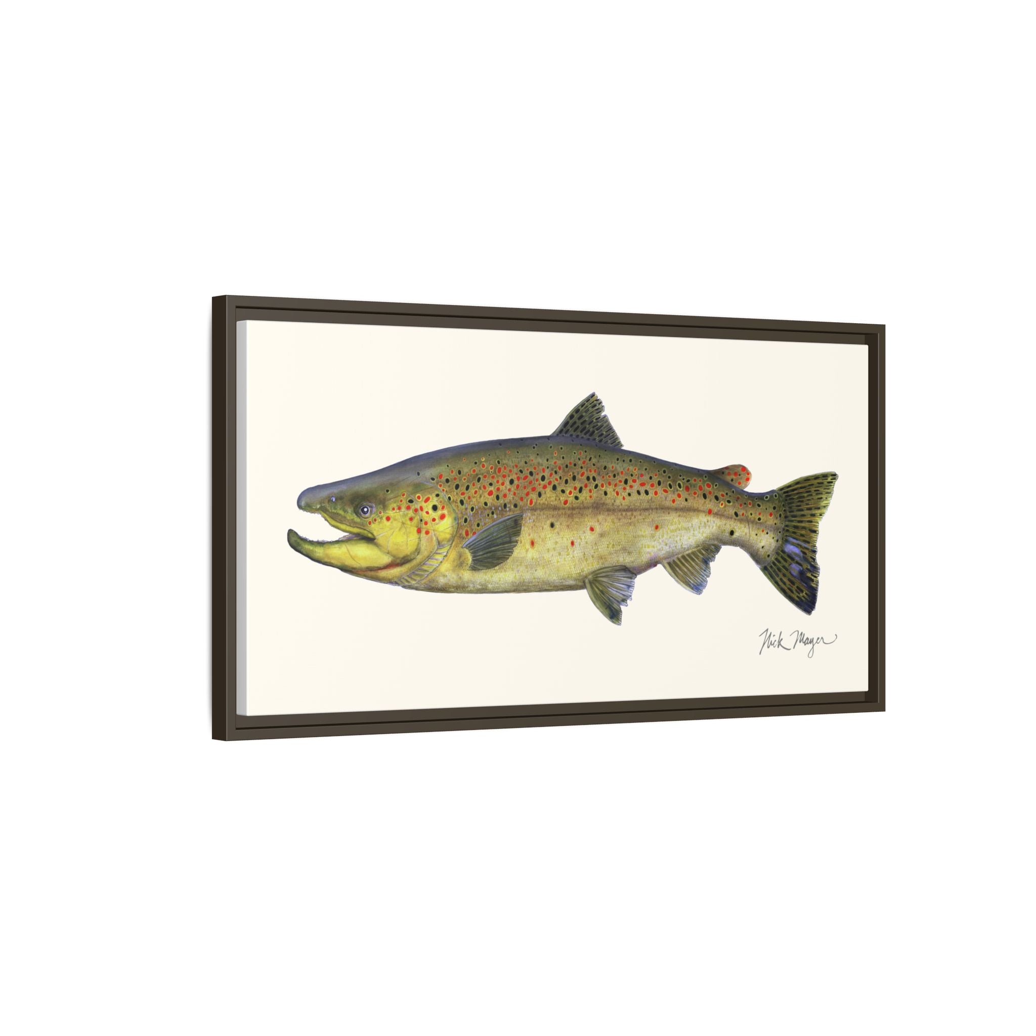 Brown Trout I Framed Canvas Print Printify