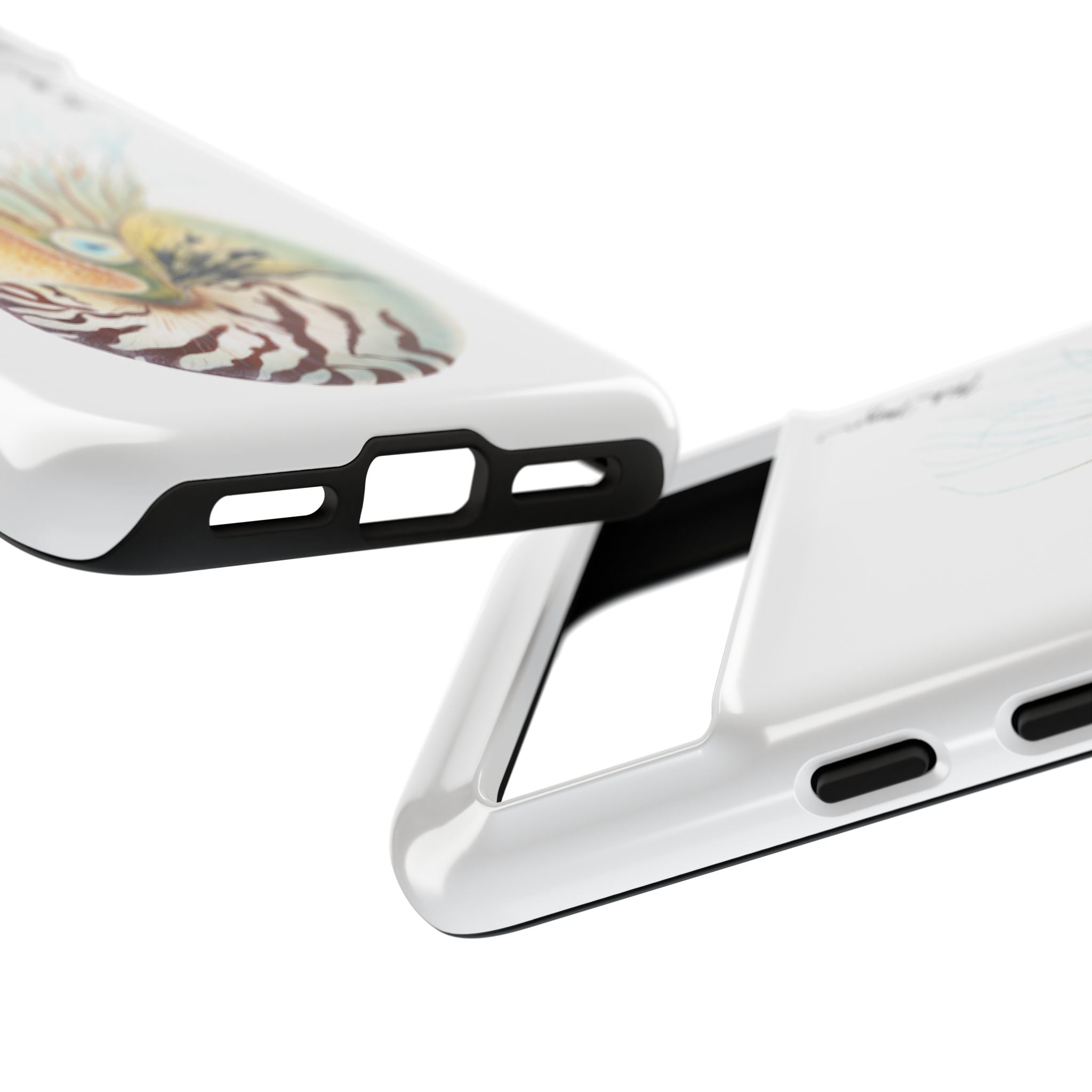 Chambered Nautilus Phone Case (Samsung) Printify