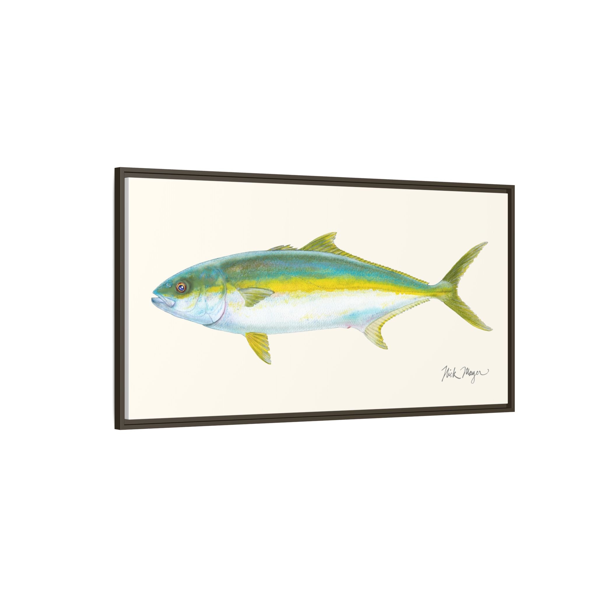 California Yellowtail I Framed Canvas Print Printify
