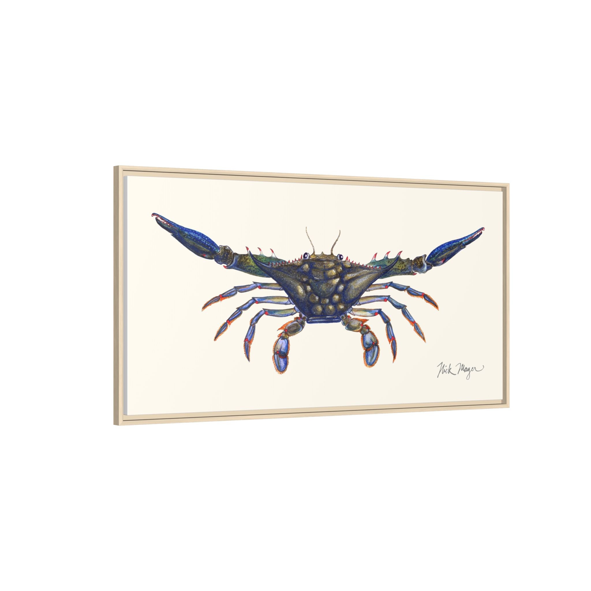 Blue Crab, Claws Out Framed Canvas Print Printify