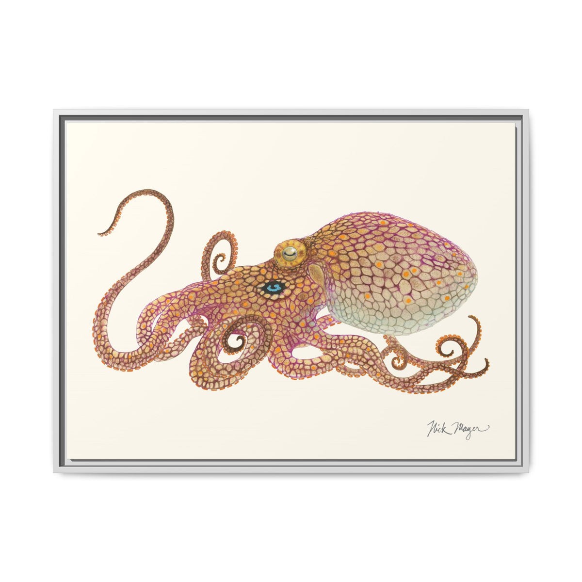 Two Spot Octopus Framed Canvas Print Printify