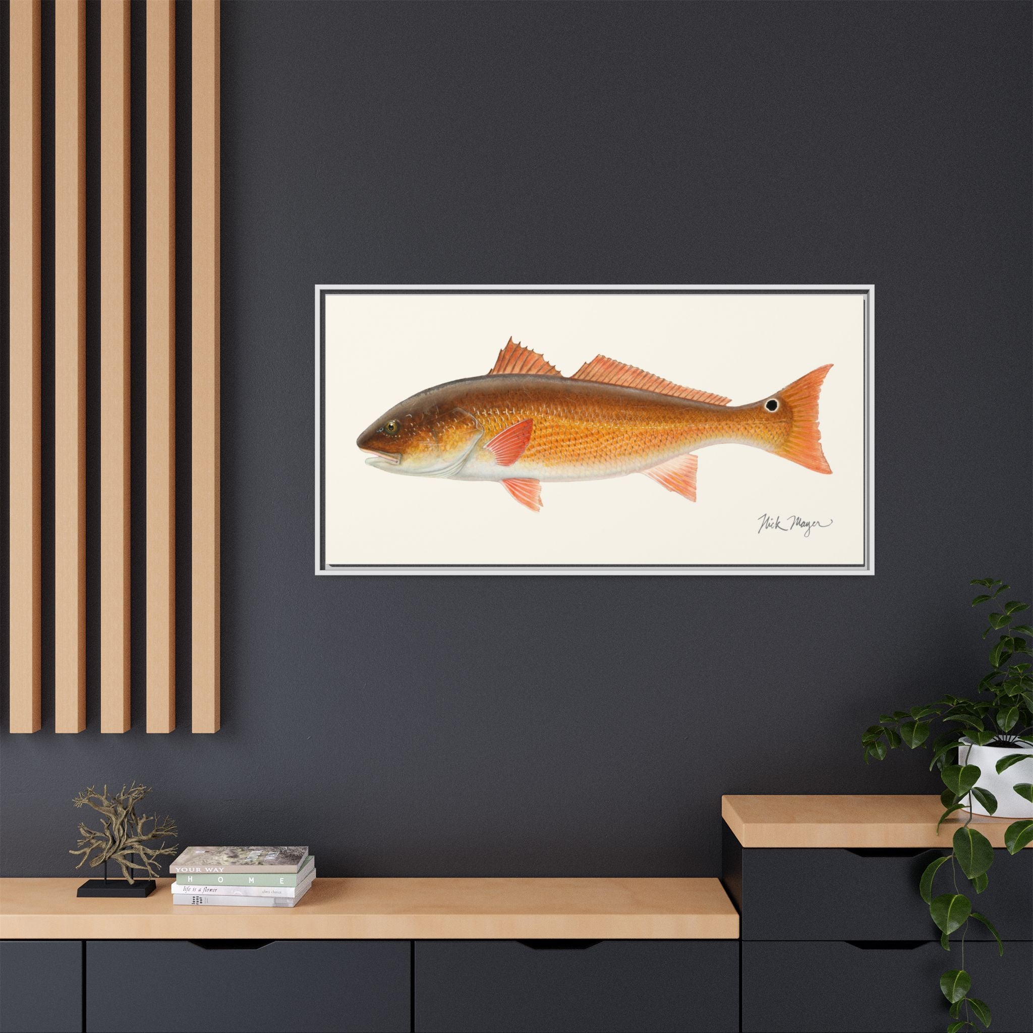 Redfish, 15 lbs Framed Canvas Print Printify